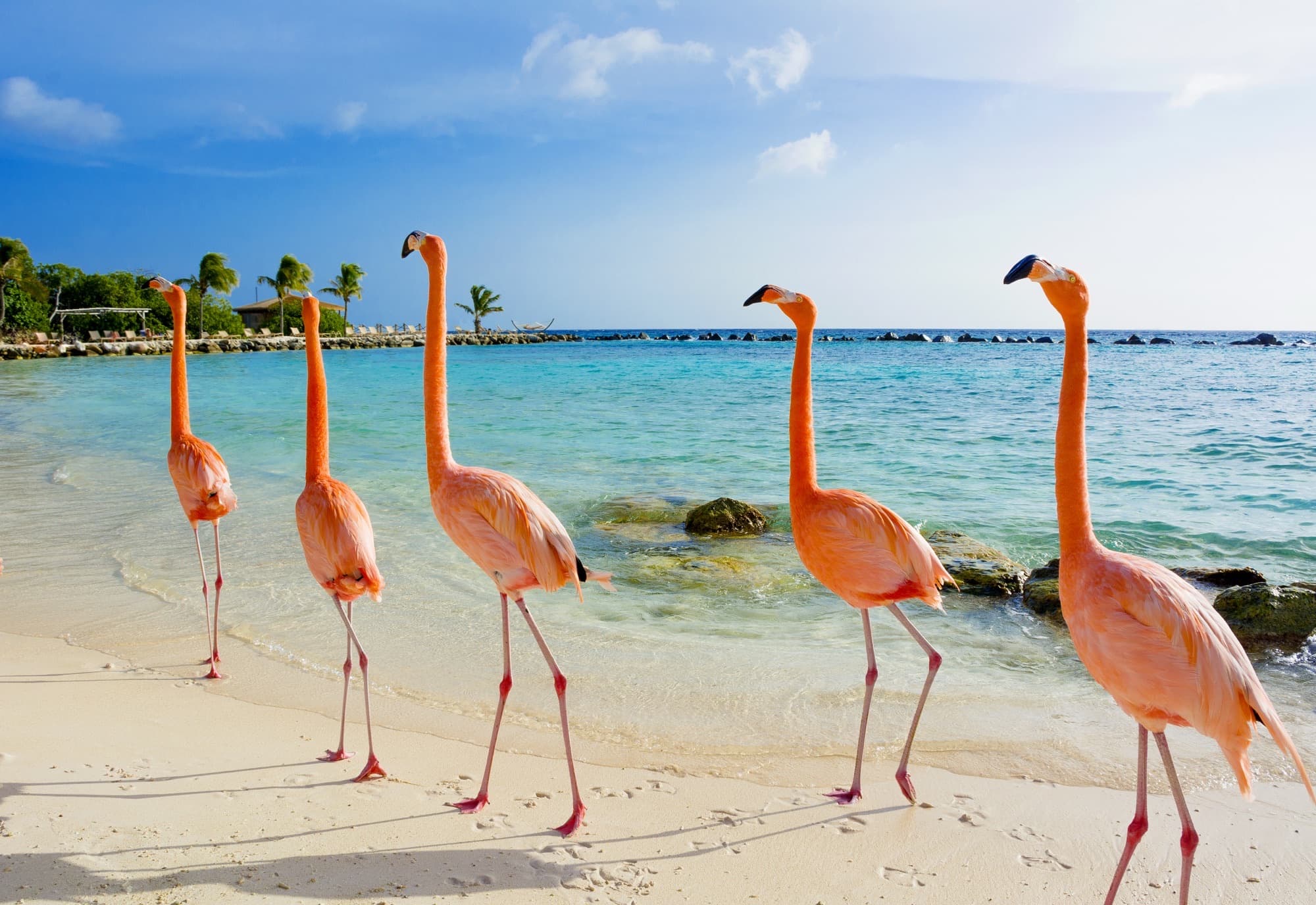 Aruba all-inclusive resorts