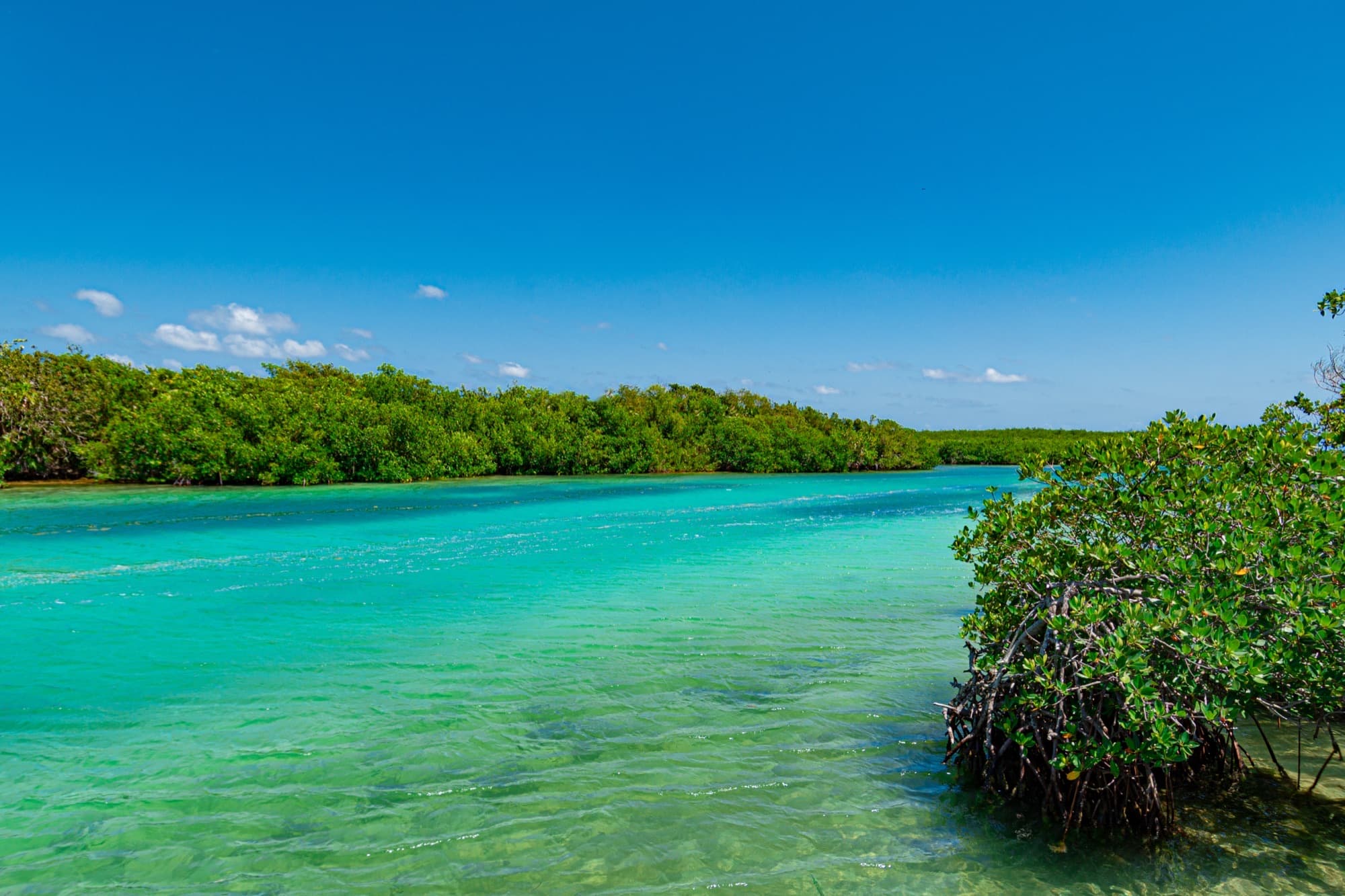 Punta Nizuc