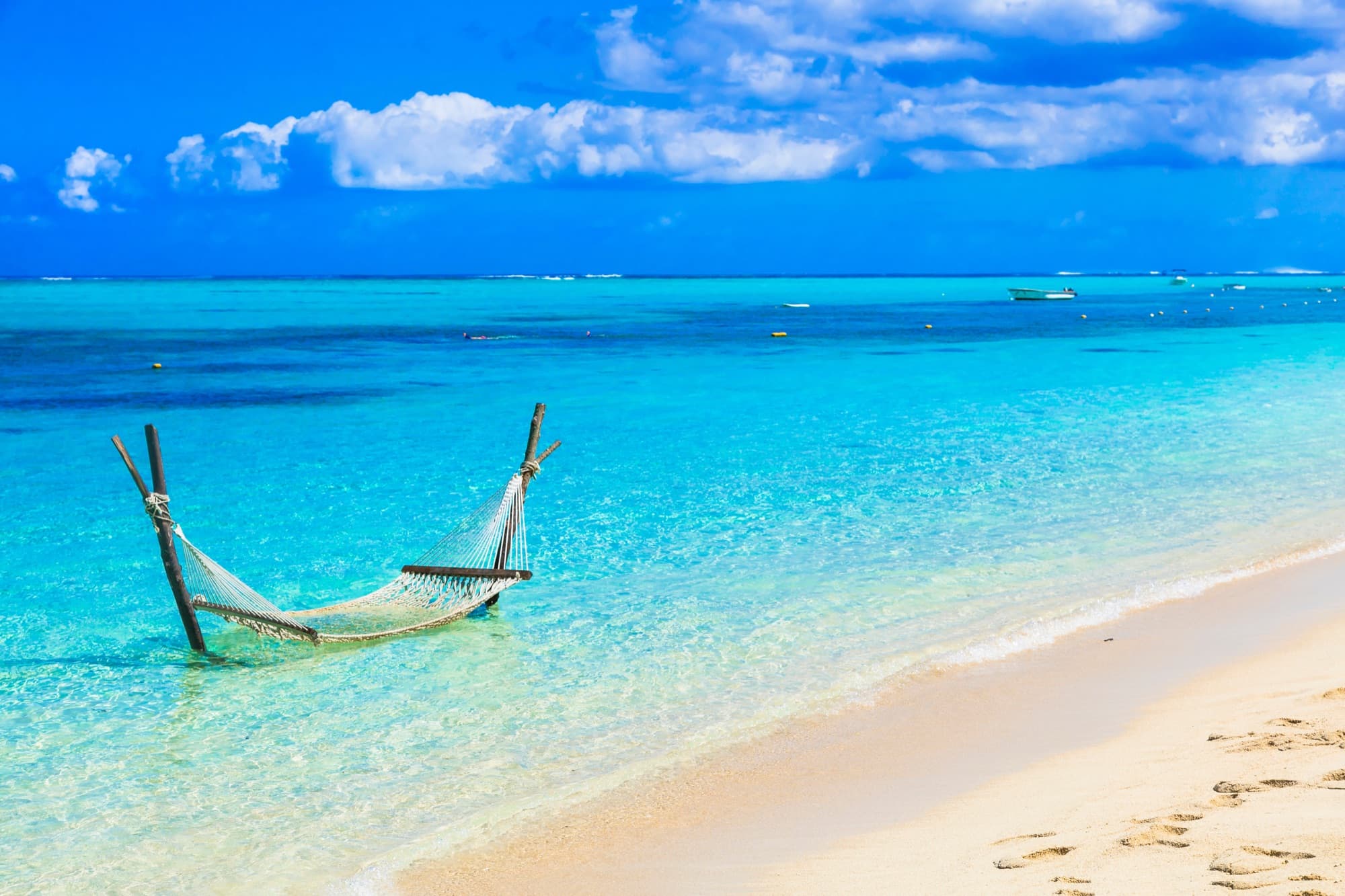 Wellness in Paradise
