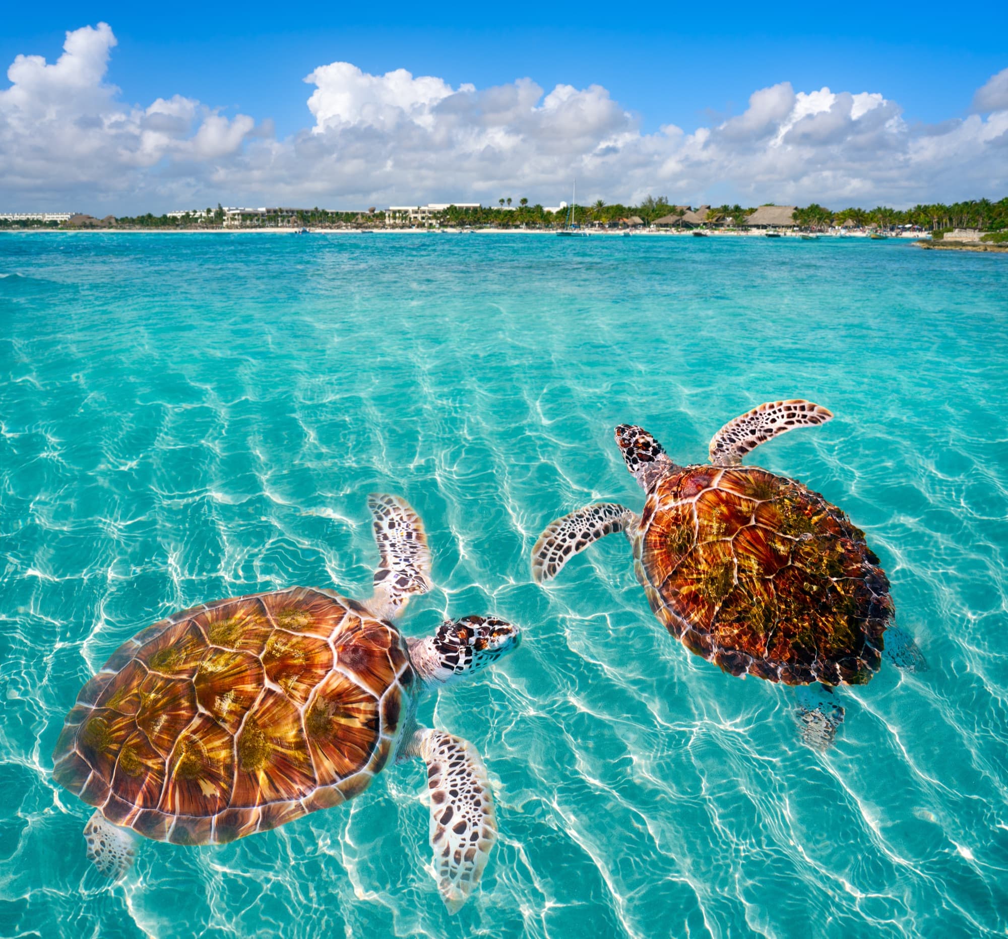 Akumal