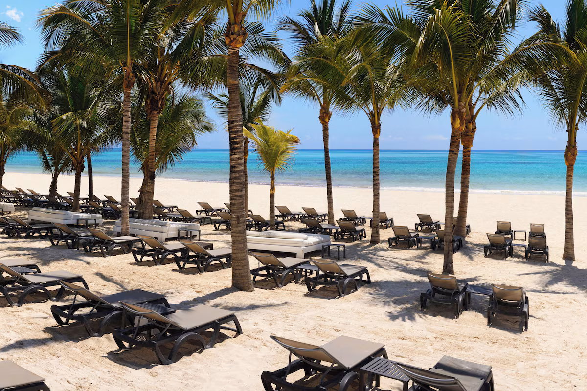 Catalonia Playa Maroma - Image 10