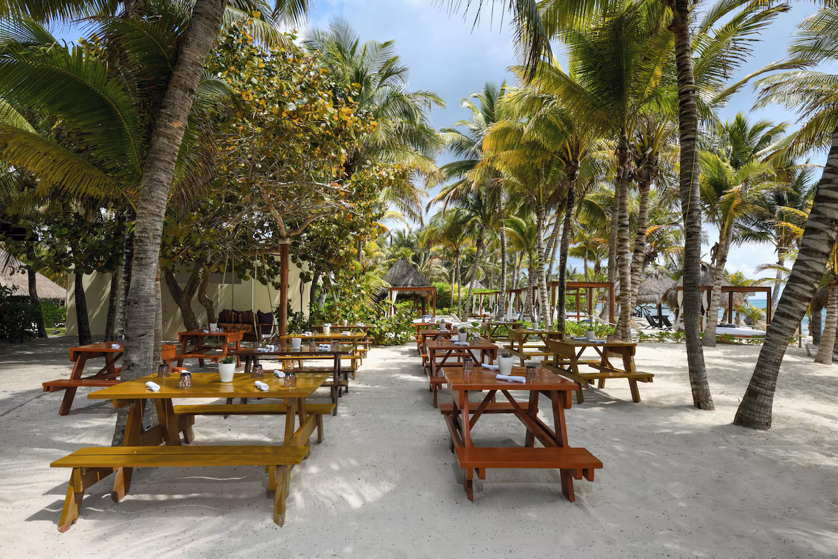 El Dorado Royale - Image 10
