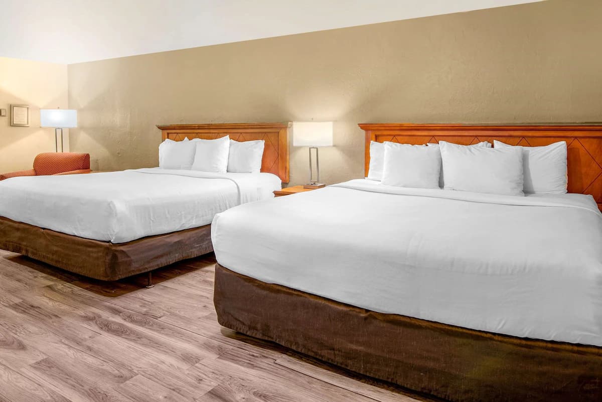 Econo Lodge Inn & Suites Durango - Image 8