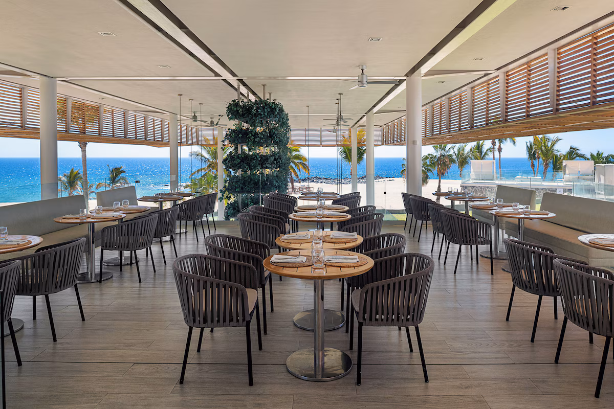 Paradisus Los Cabos - Adults Only - Image 2