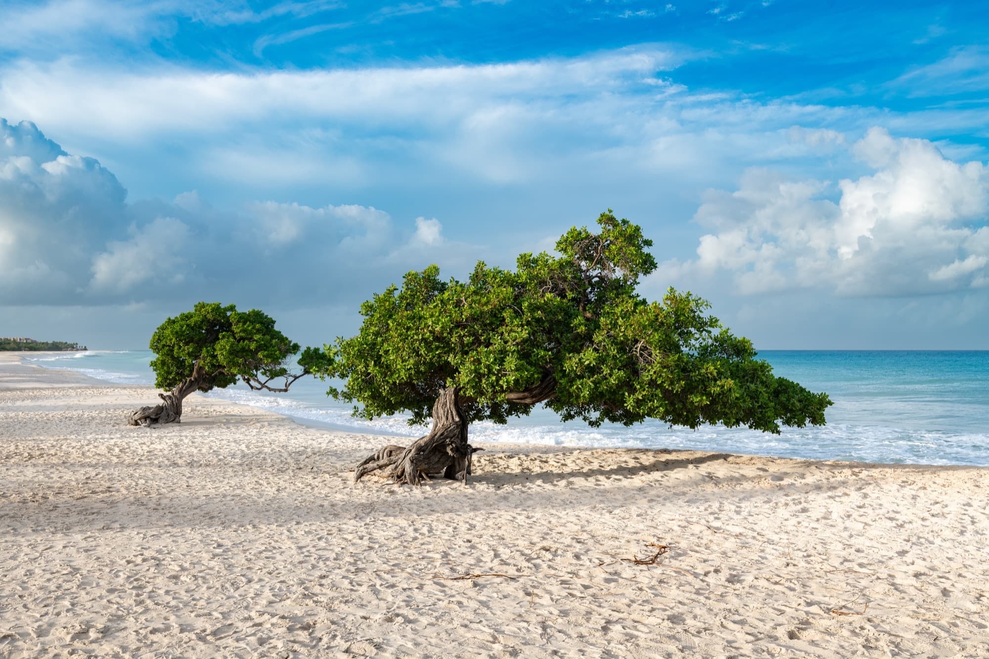 Eagle Beach