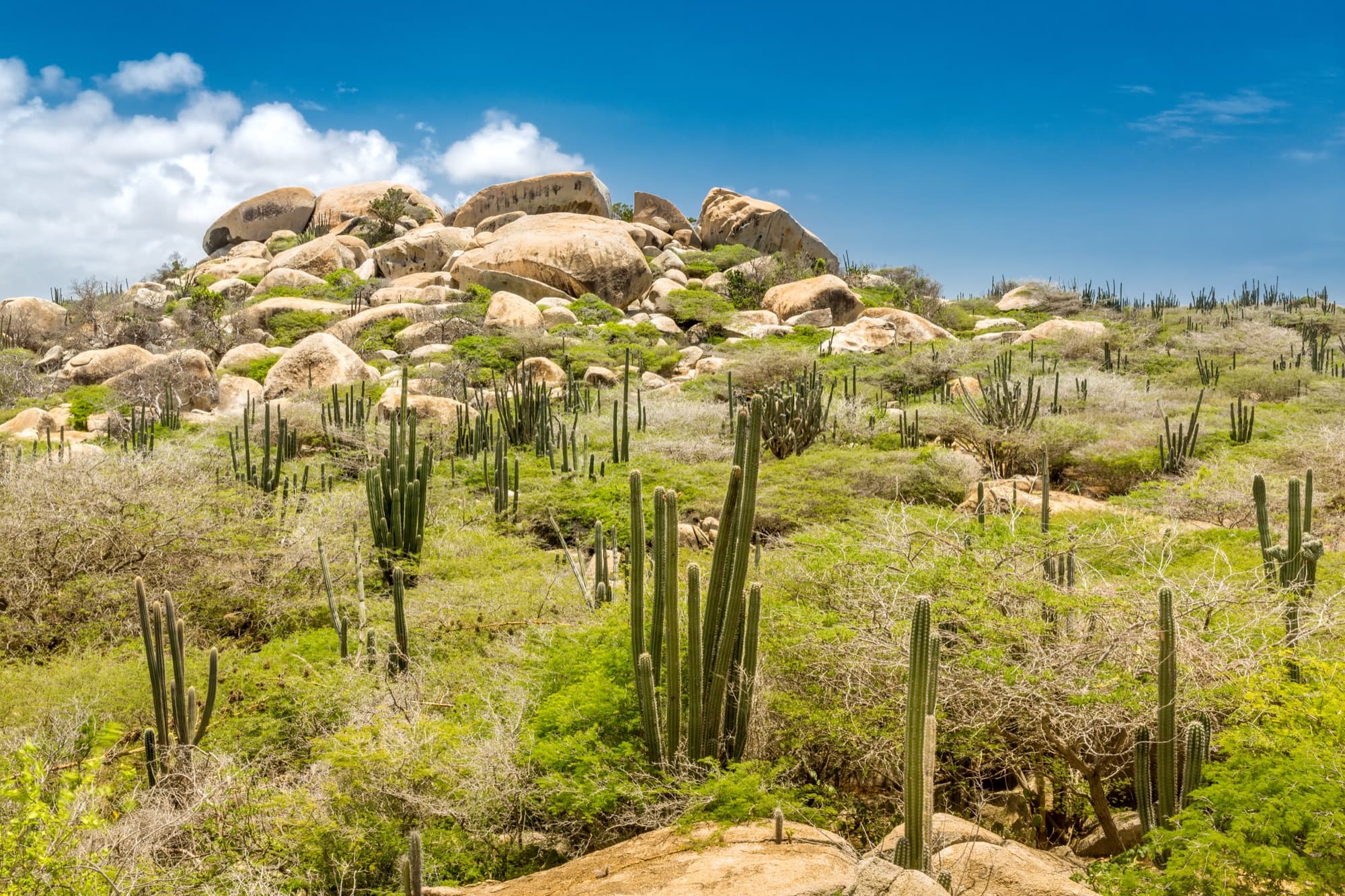 Desert & Natural Wonders