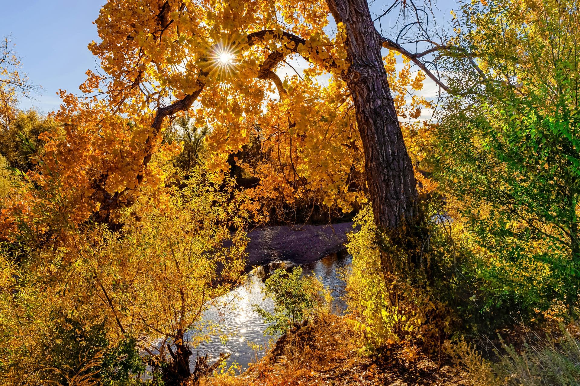 Cherry Creek Reservoir