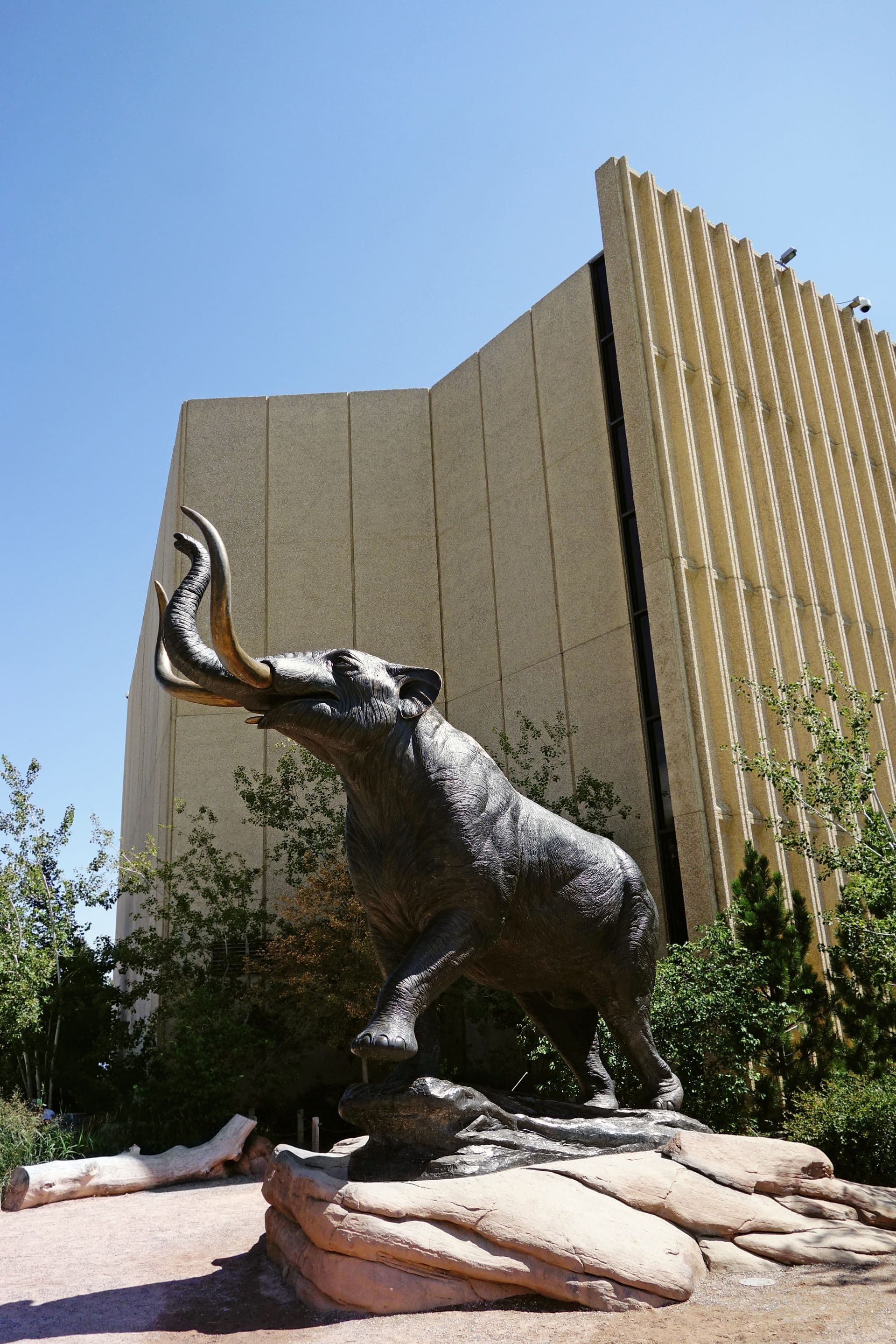 Denver Museum of Nature & Science