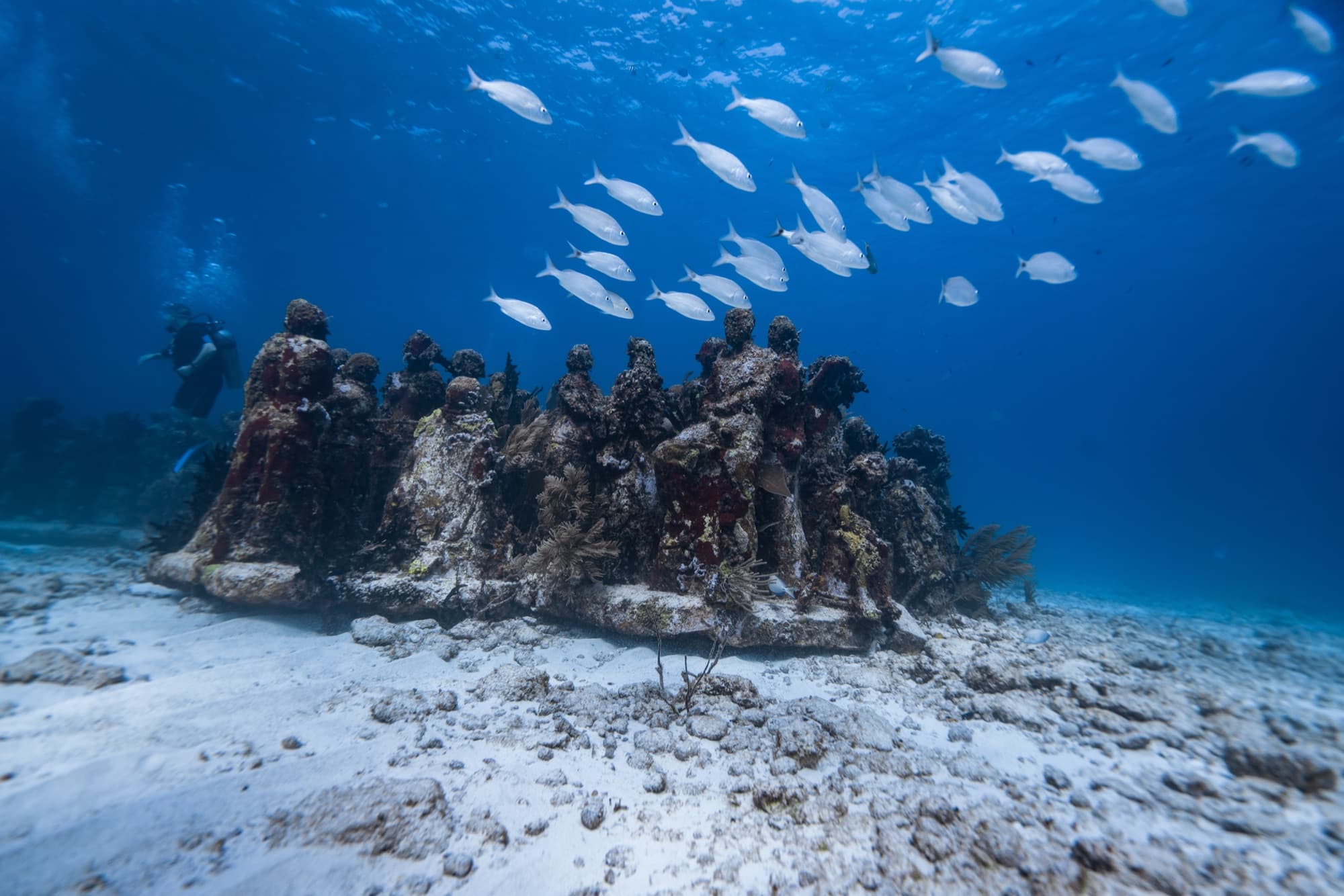 MUSA Underwater Museum