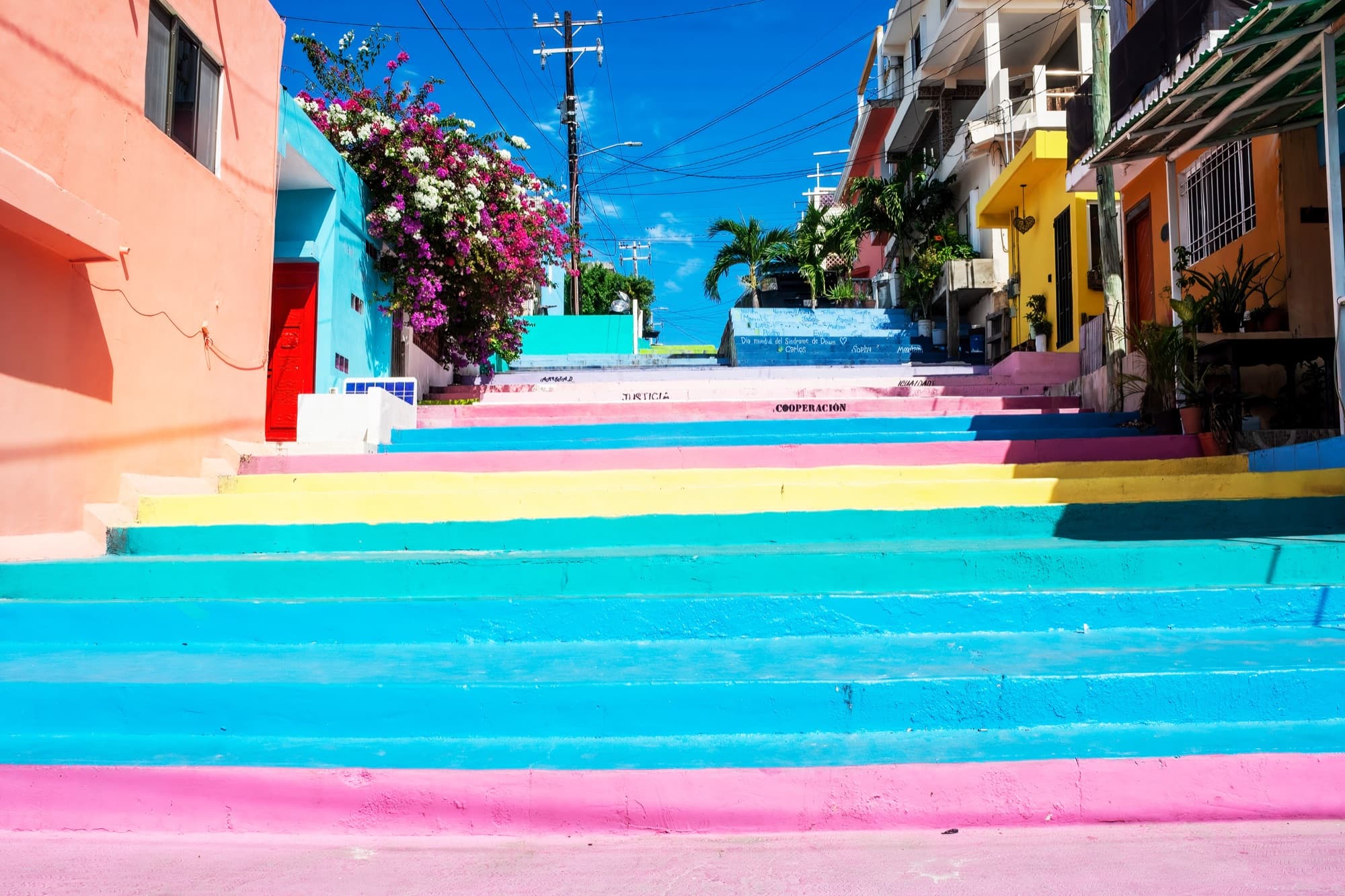 Island Culture & Charm