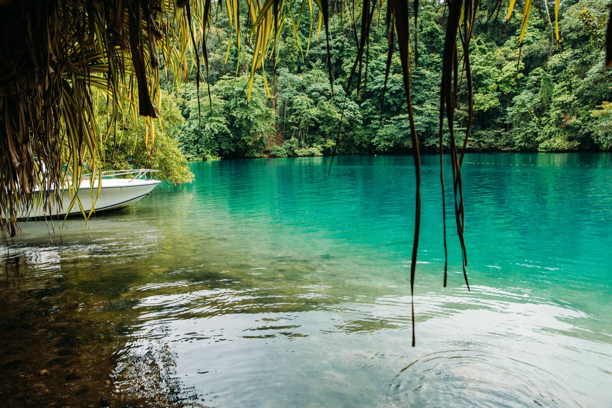 Port Antonio