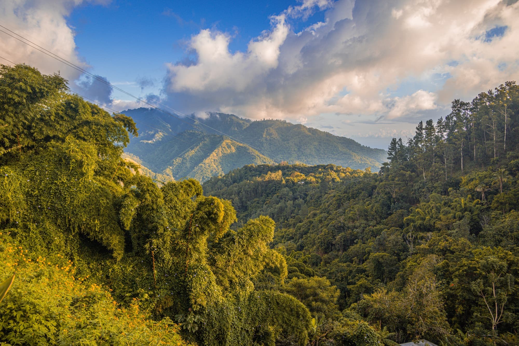 Blue Mountains & Nature