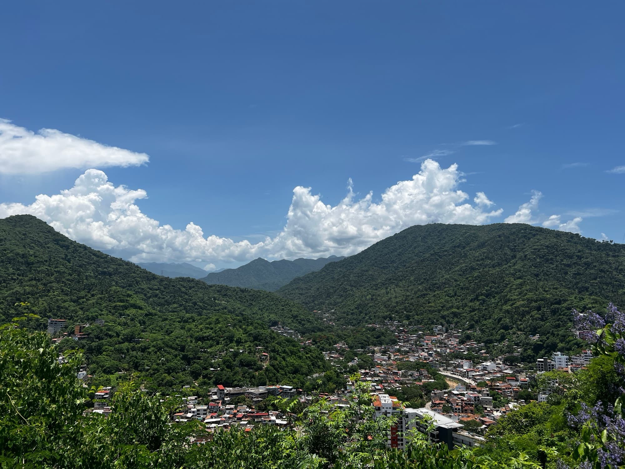 Sierra Madre & Jungle