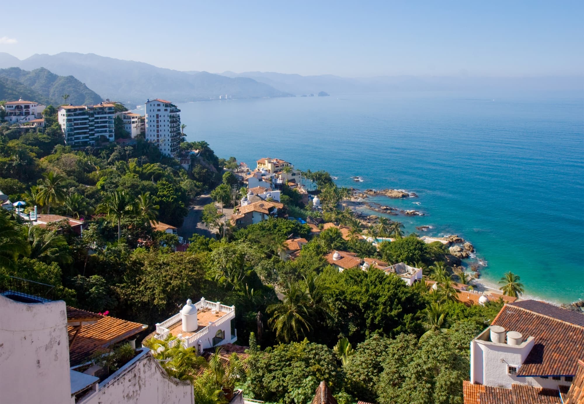 Banderas Bay & Marine Life