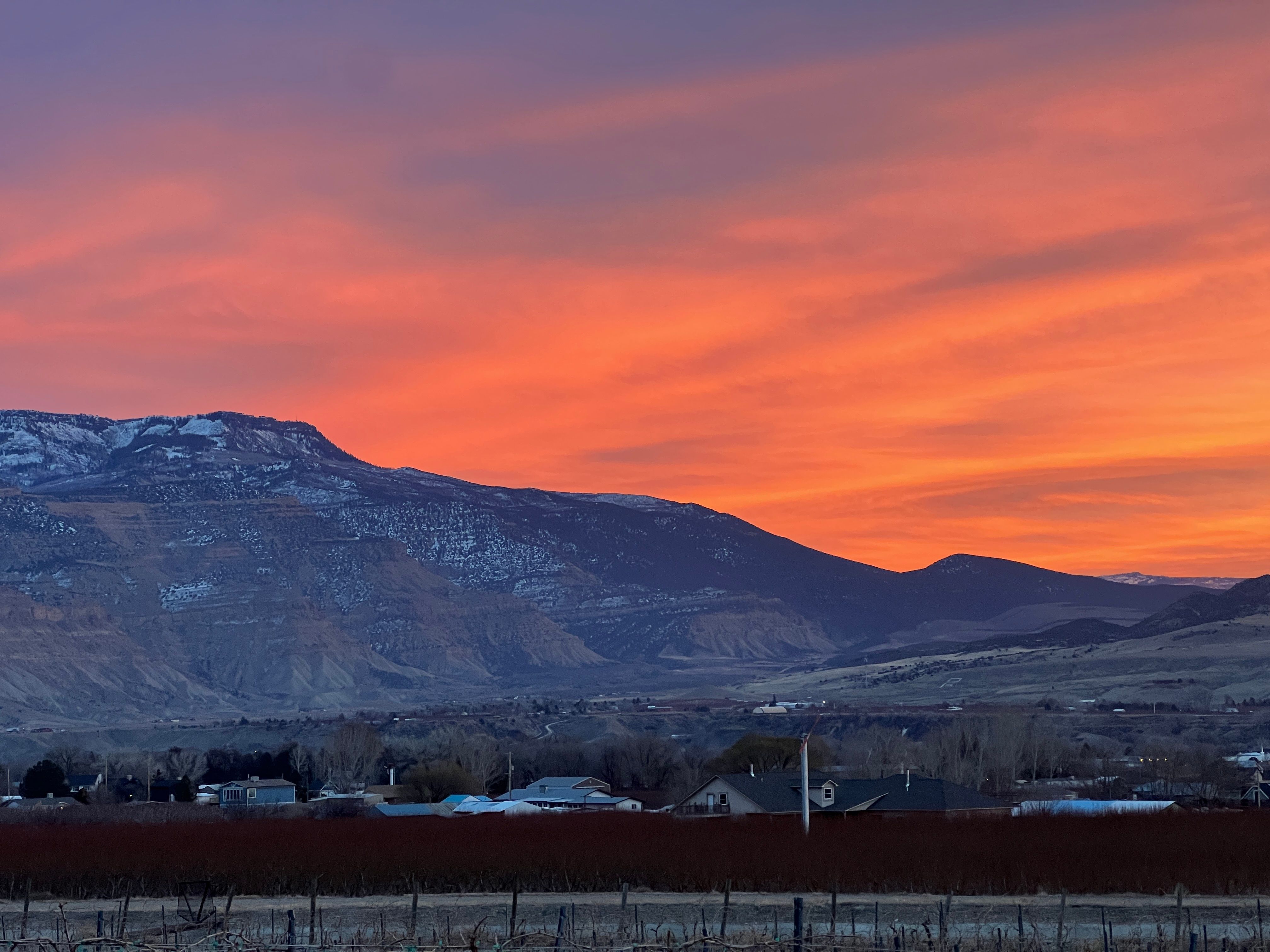 Gallery image for Palisade (CTY-8)