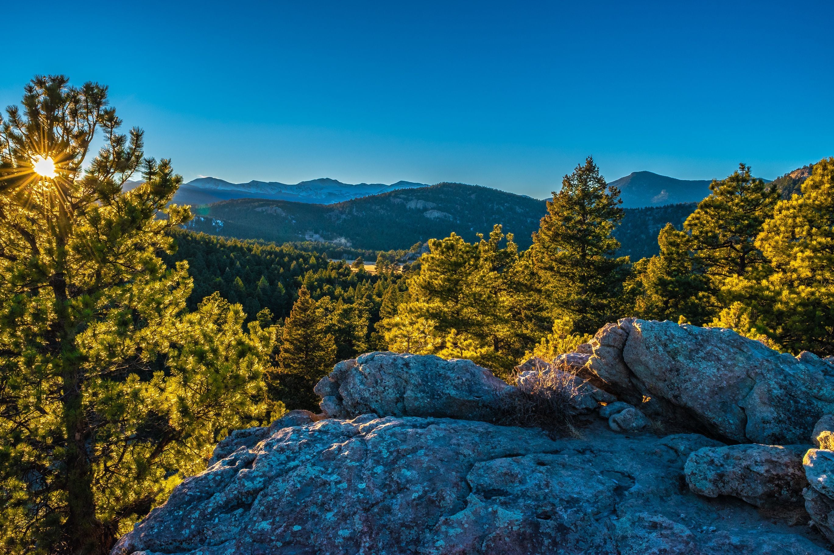 Image for Evergreen (CTY-9)