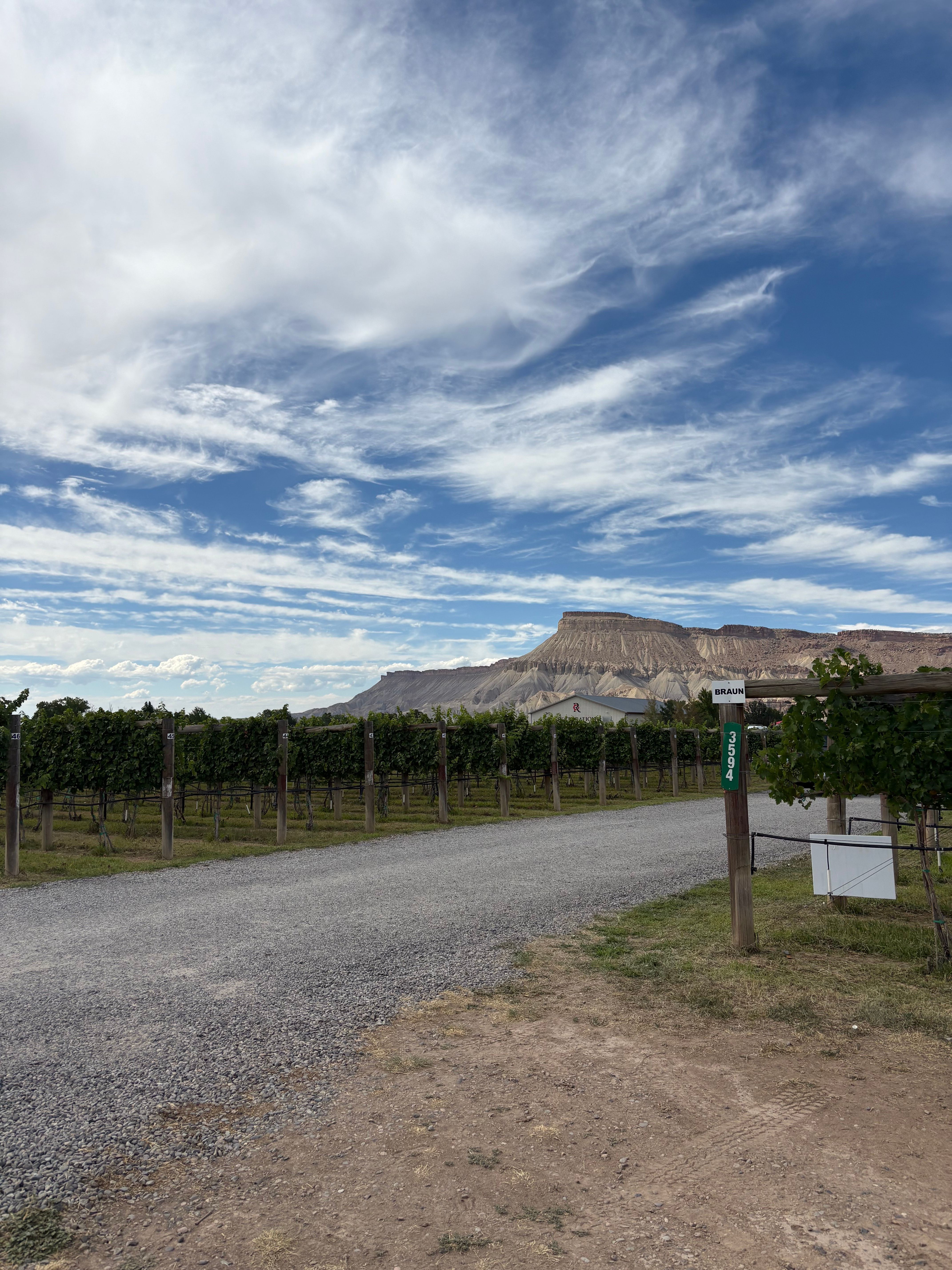 Gallery image for Restoration Vineyards (WINE-3)