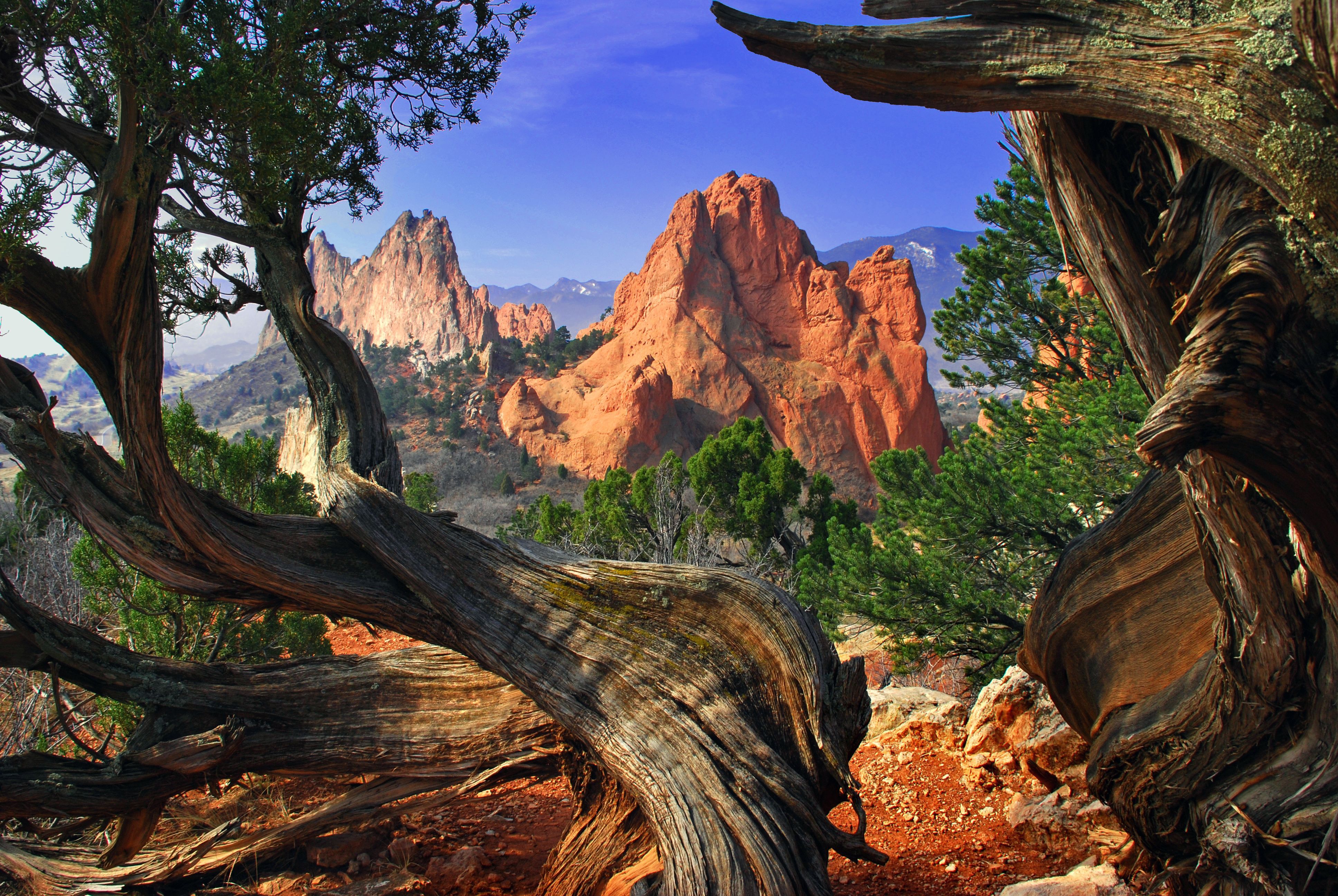 Image for Garden of the Gods (PL-5)