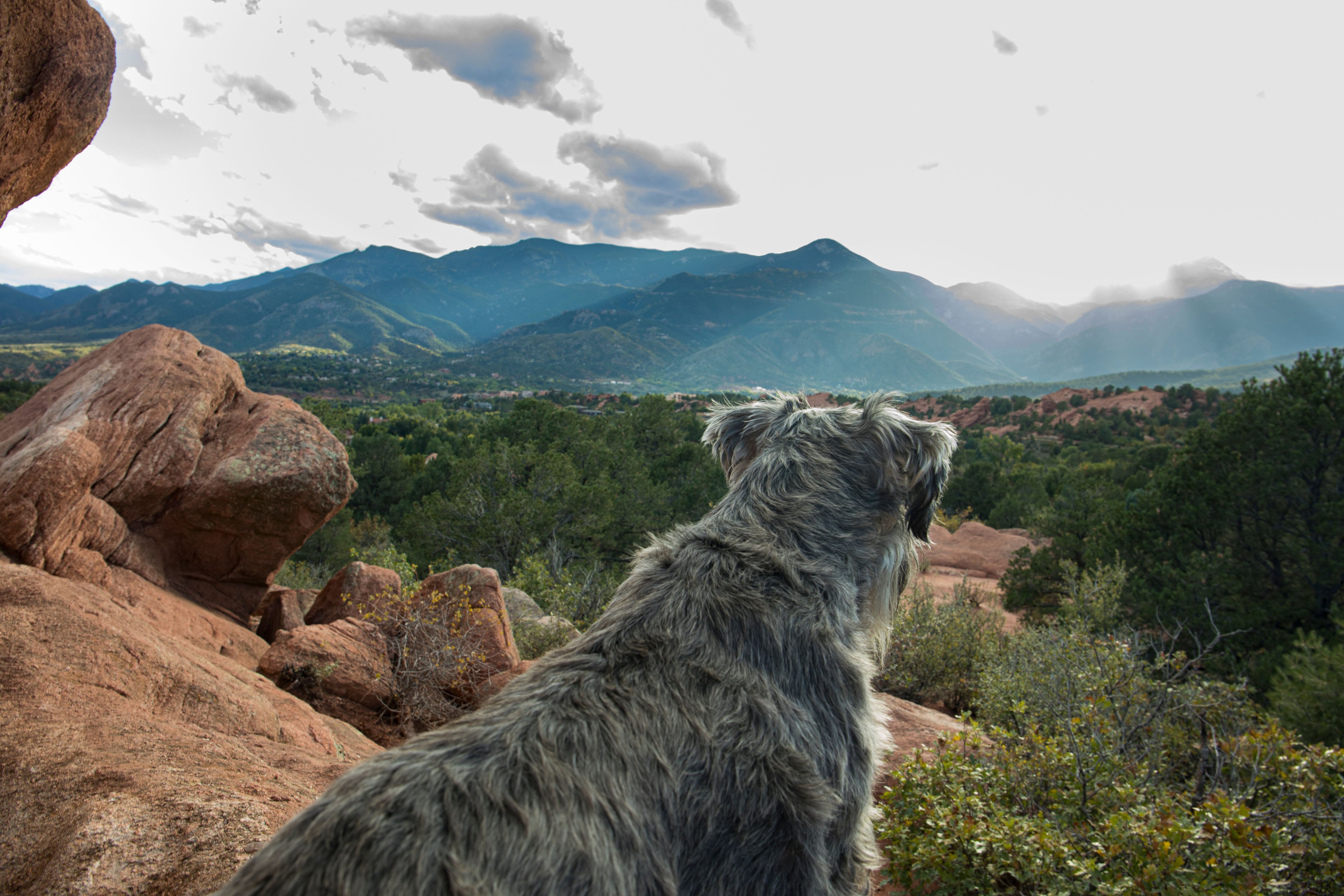 Image for Garden of the Gods (PL-5)