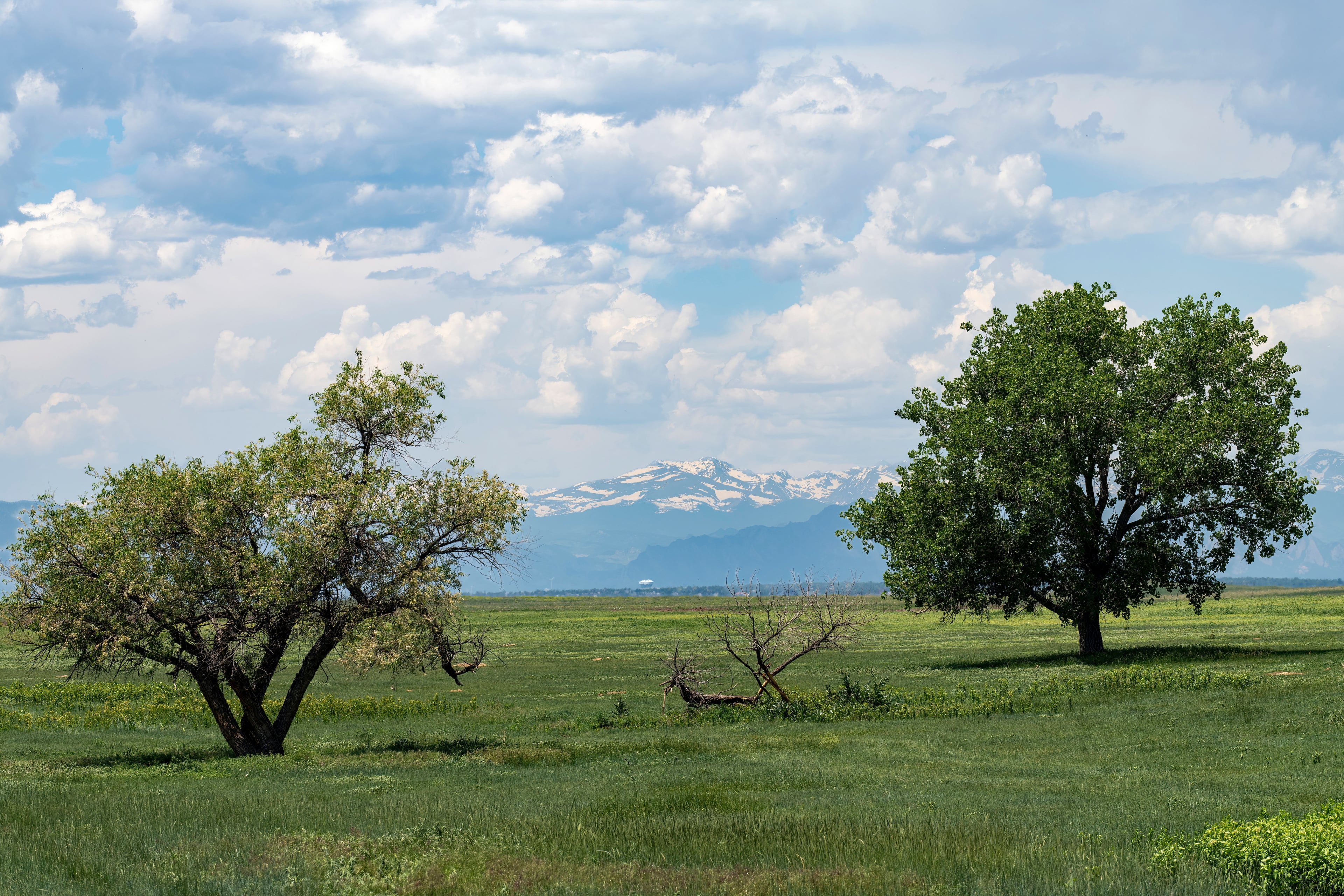Image for Rocky Mountain Arsenal National Wildlife Refuge (PL-4)