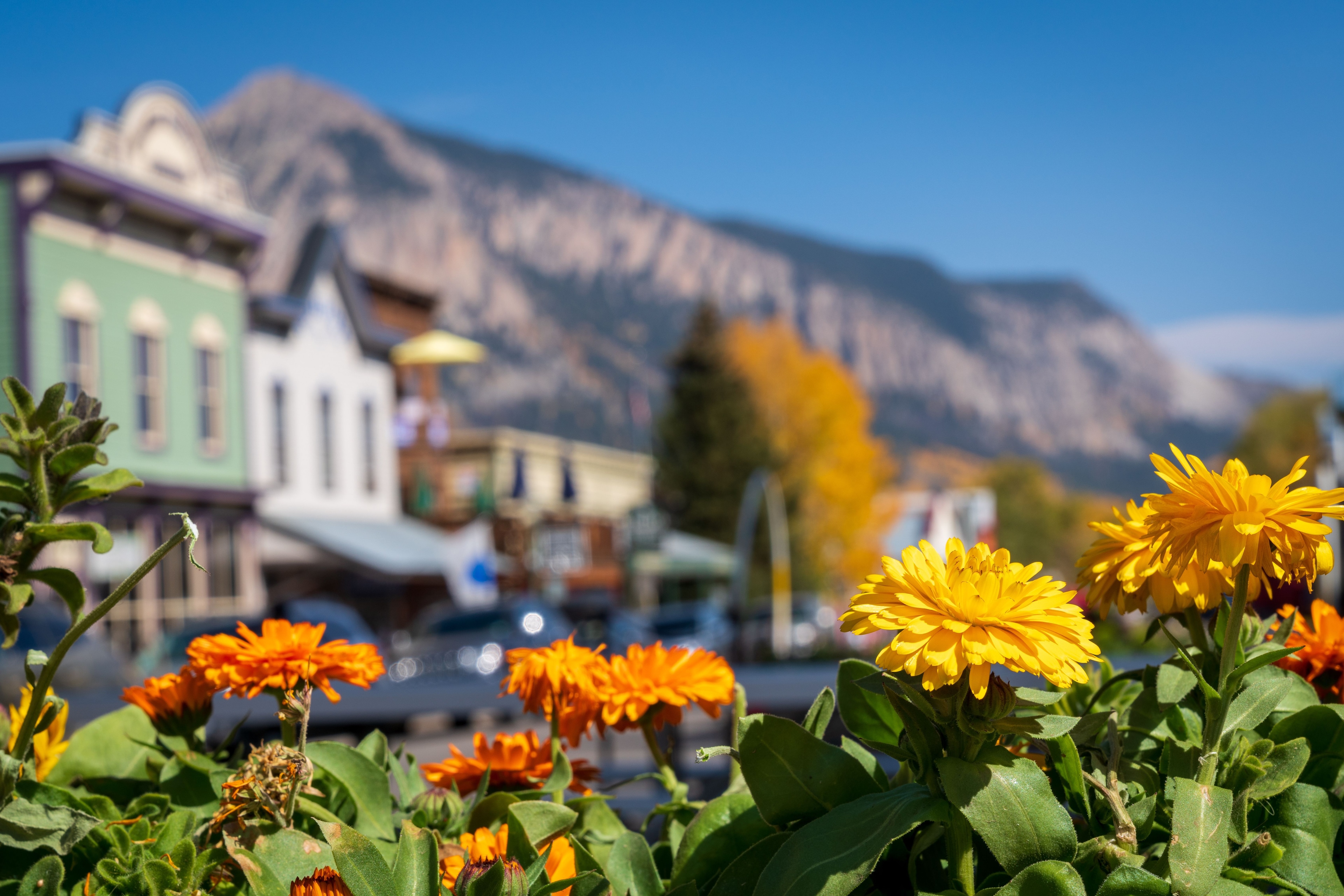 Gallery image for Crested Butte (CTY-12)