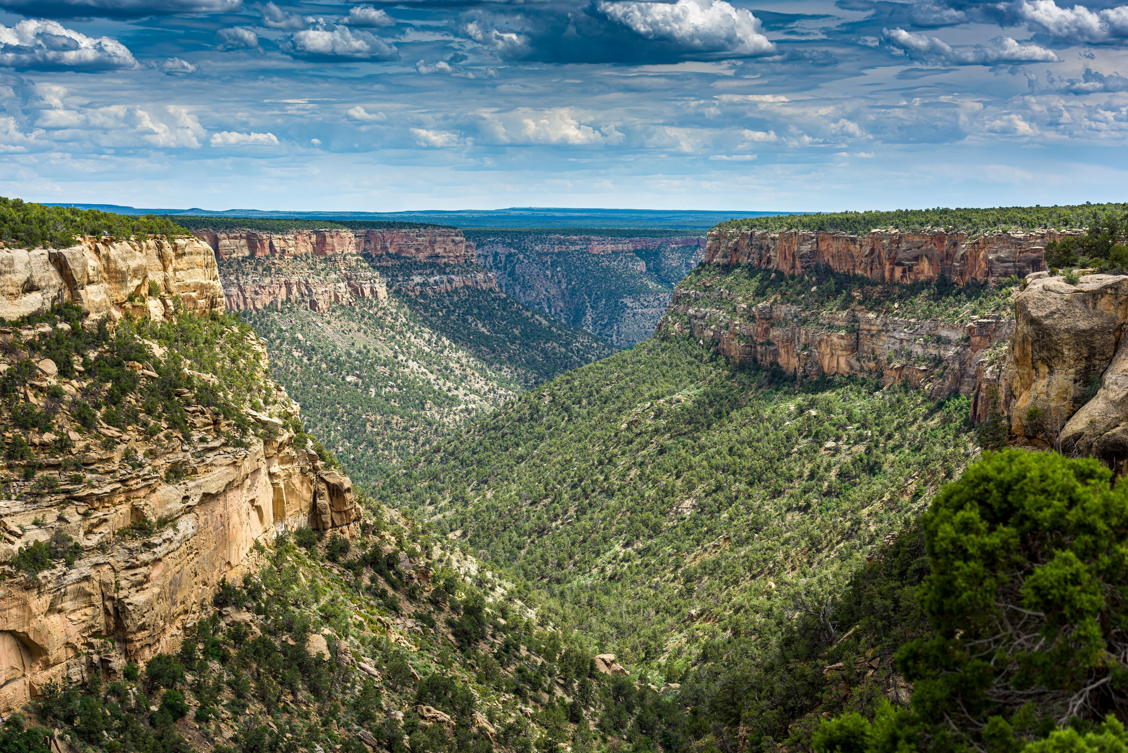Image for Mesa Verde National Park (PL-7)