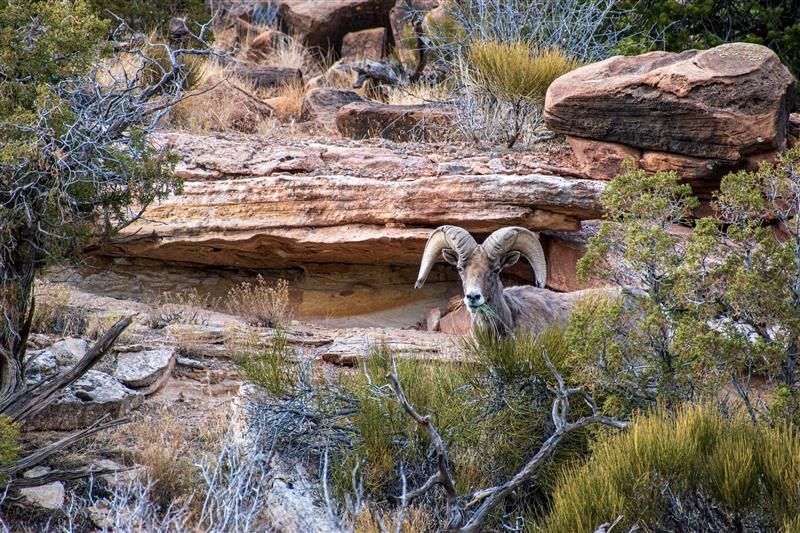 Gallery image for Grand Junction (CTY-17)