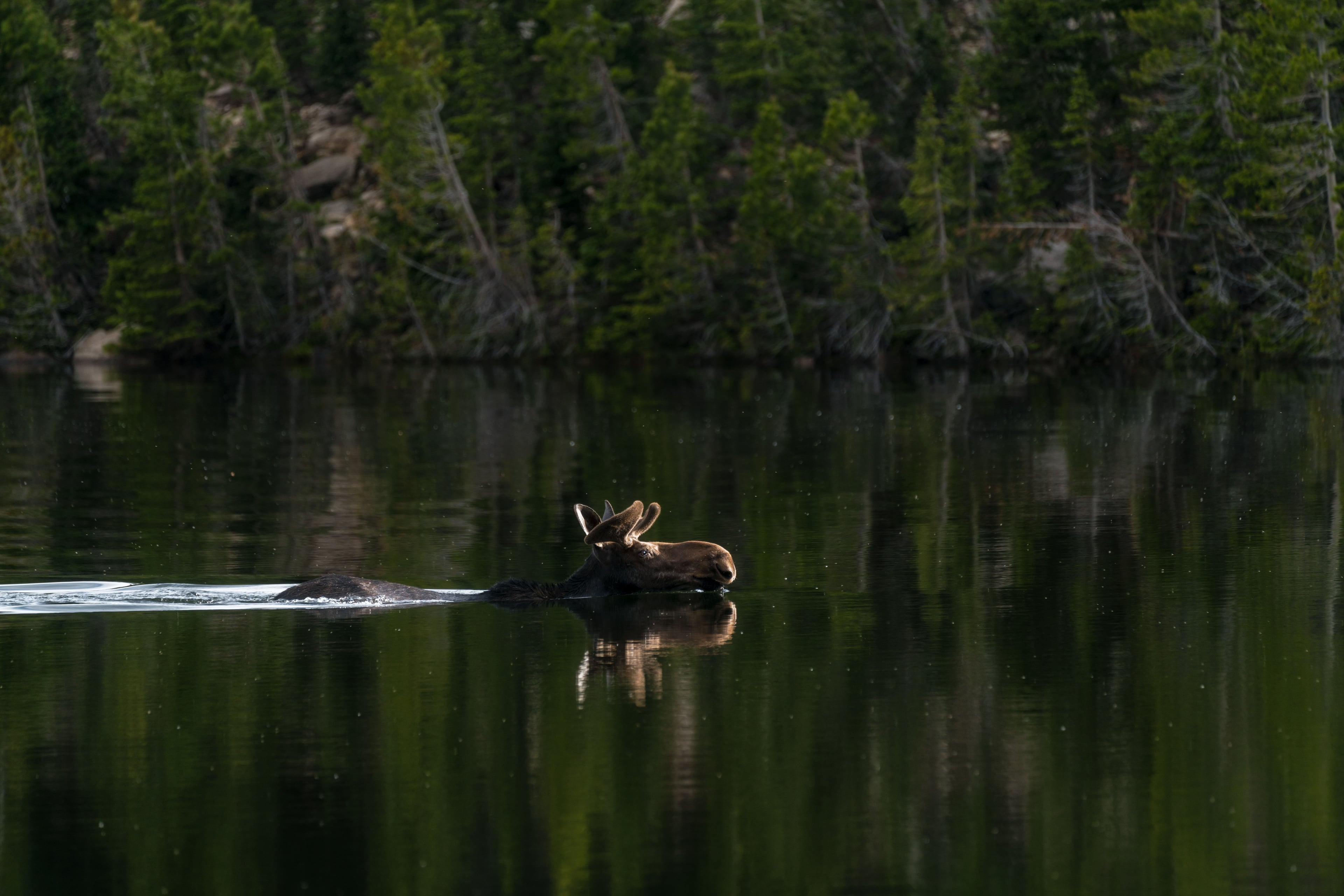 Gallery image for Grand Lake (CTY-20)