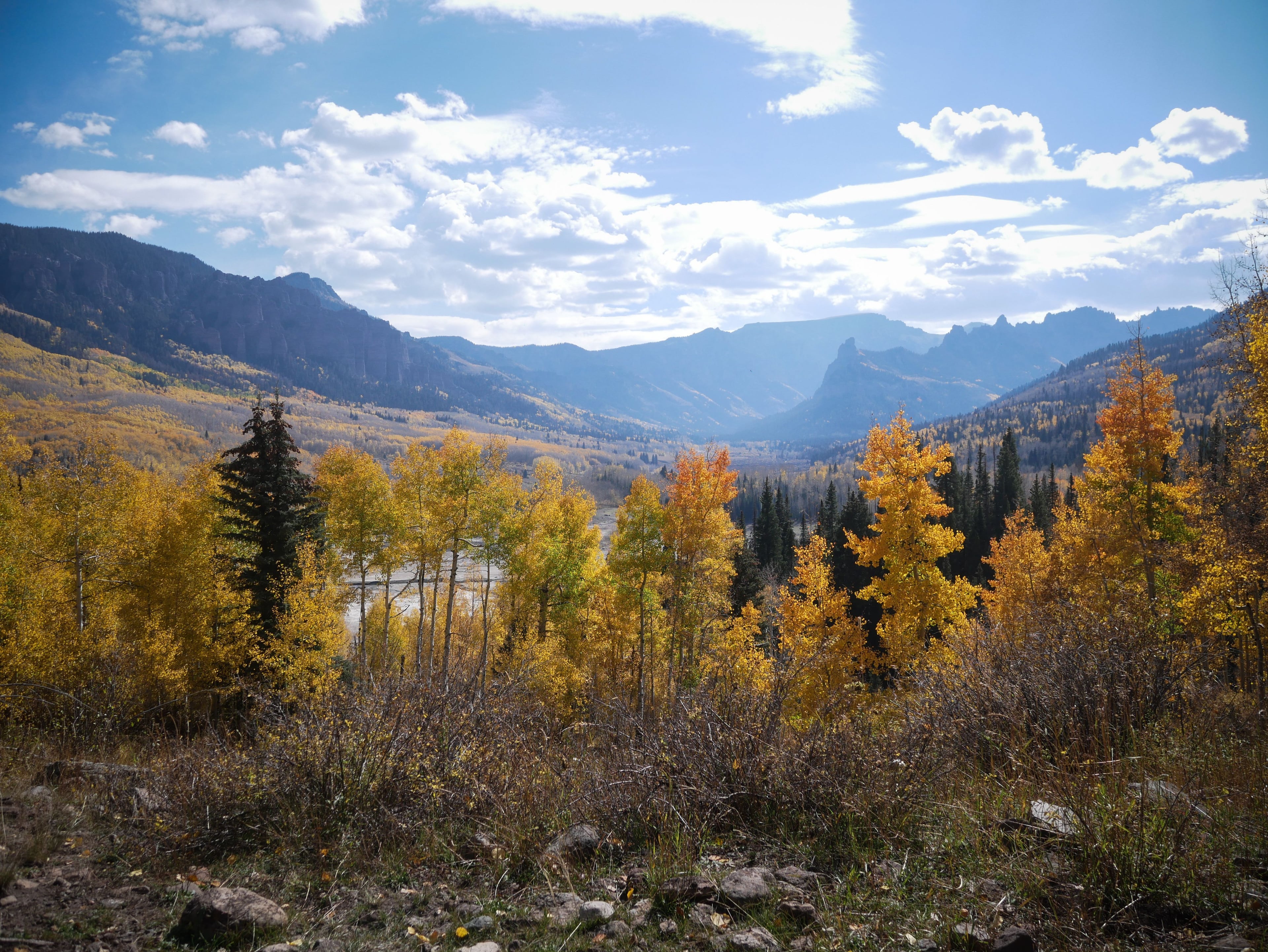 Image for Montrose (CTY-22)