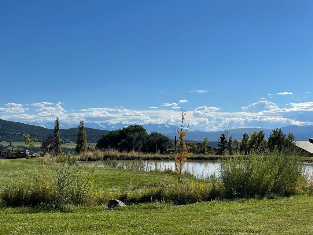 Image for Montrose (CTY-22)