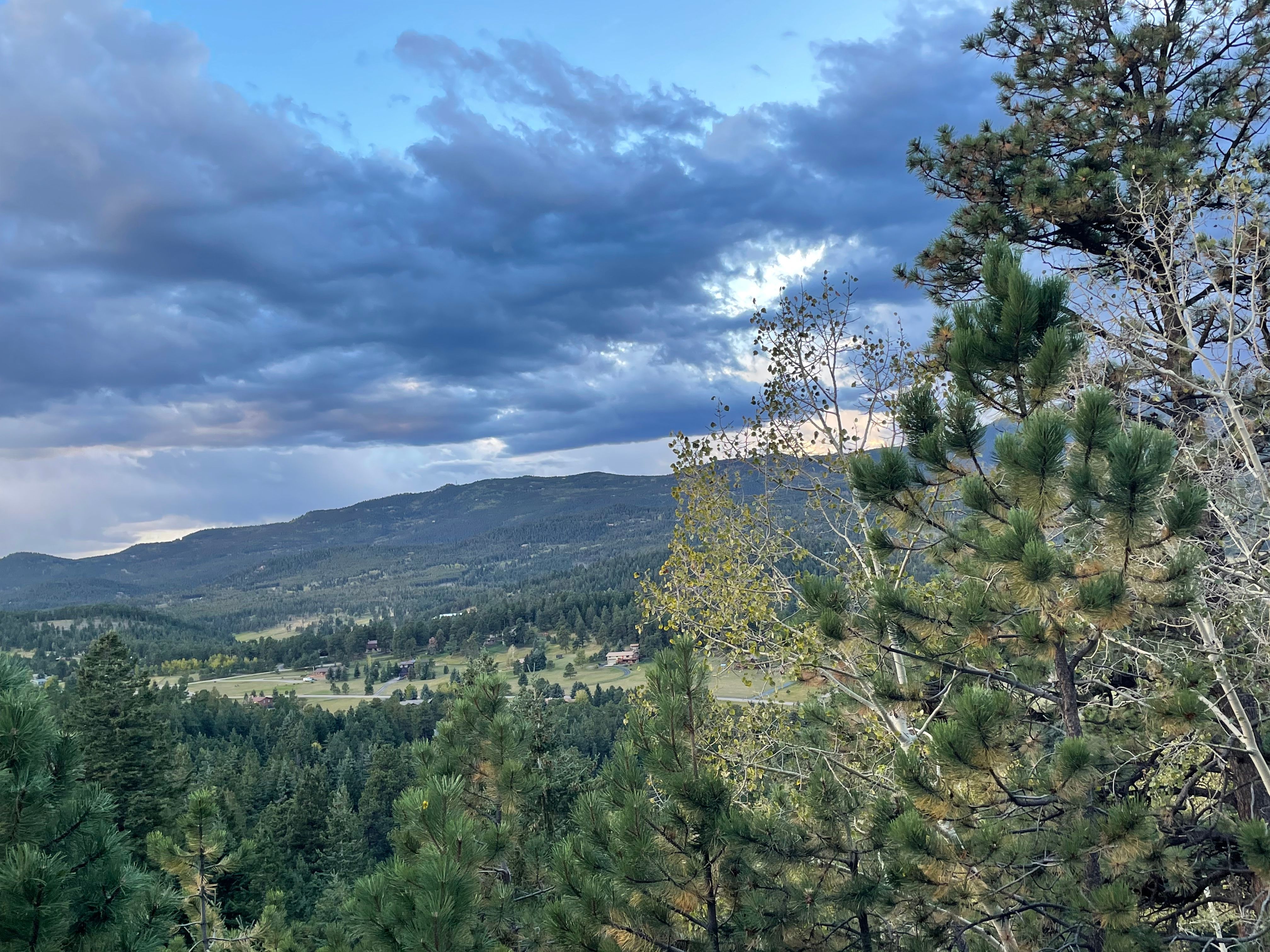 Gallery image for Evergreen (CTY-10)