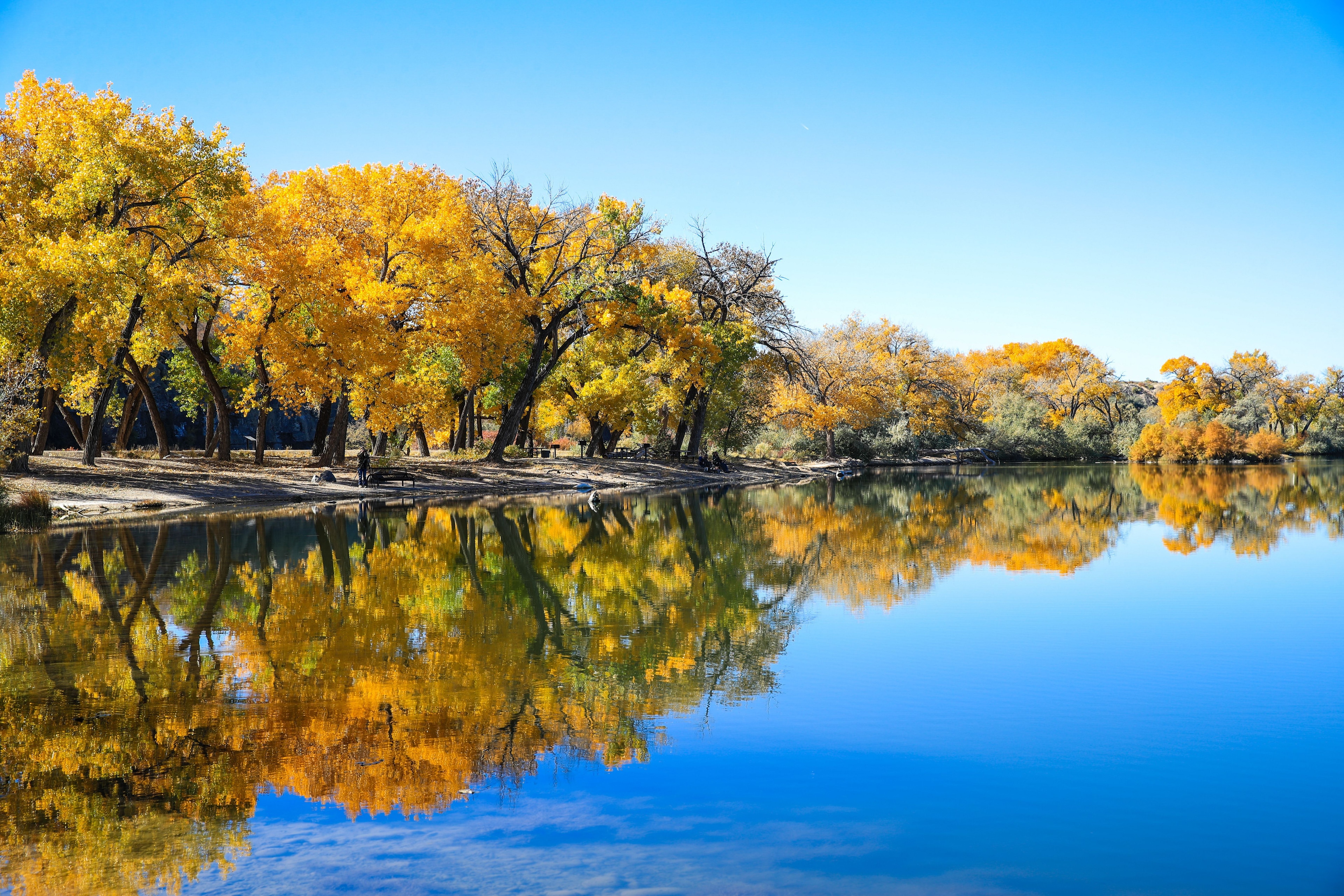 Gallery image for Grand Junction (CTY-17)