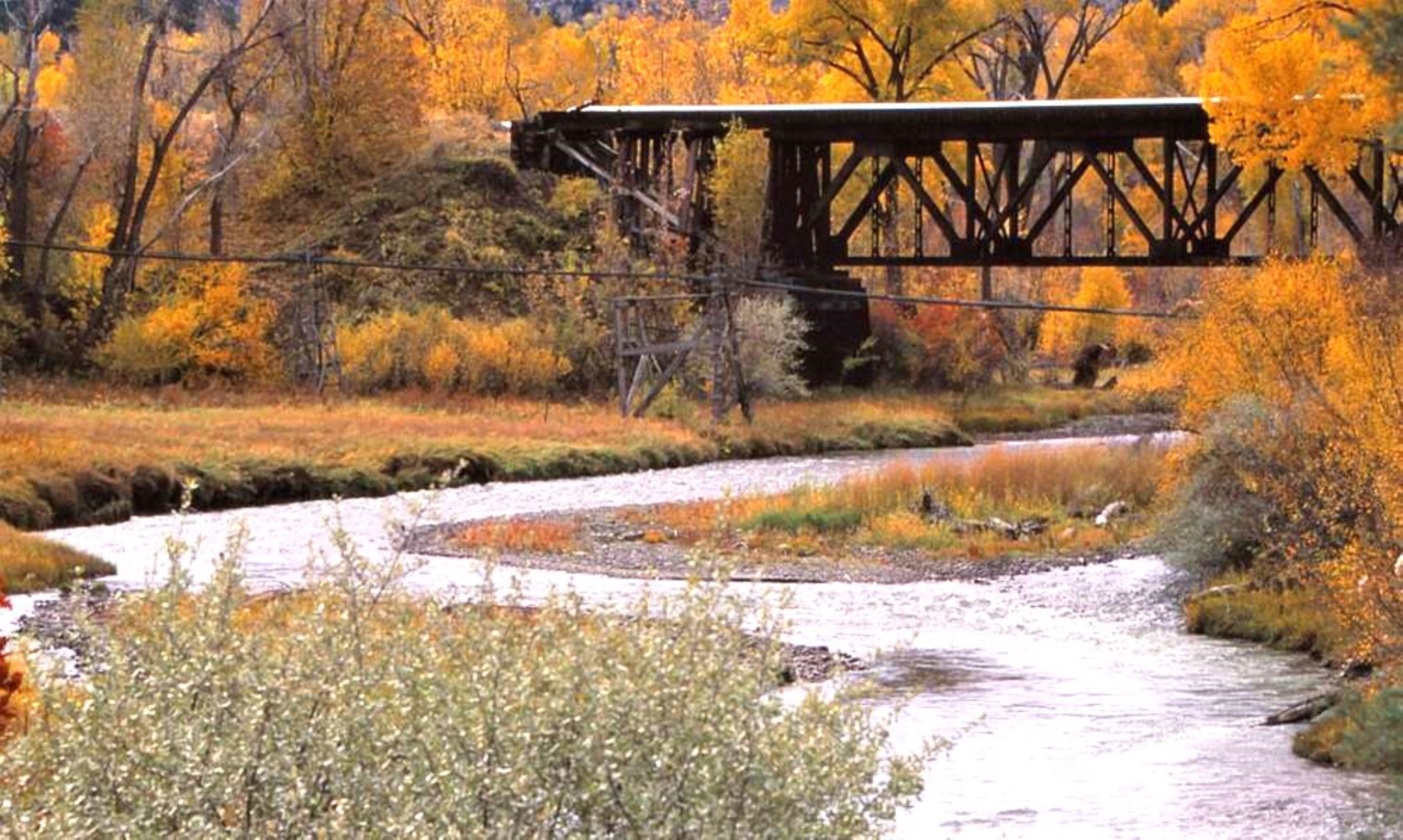 Gallery image for Montrose (CTY-22)