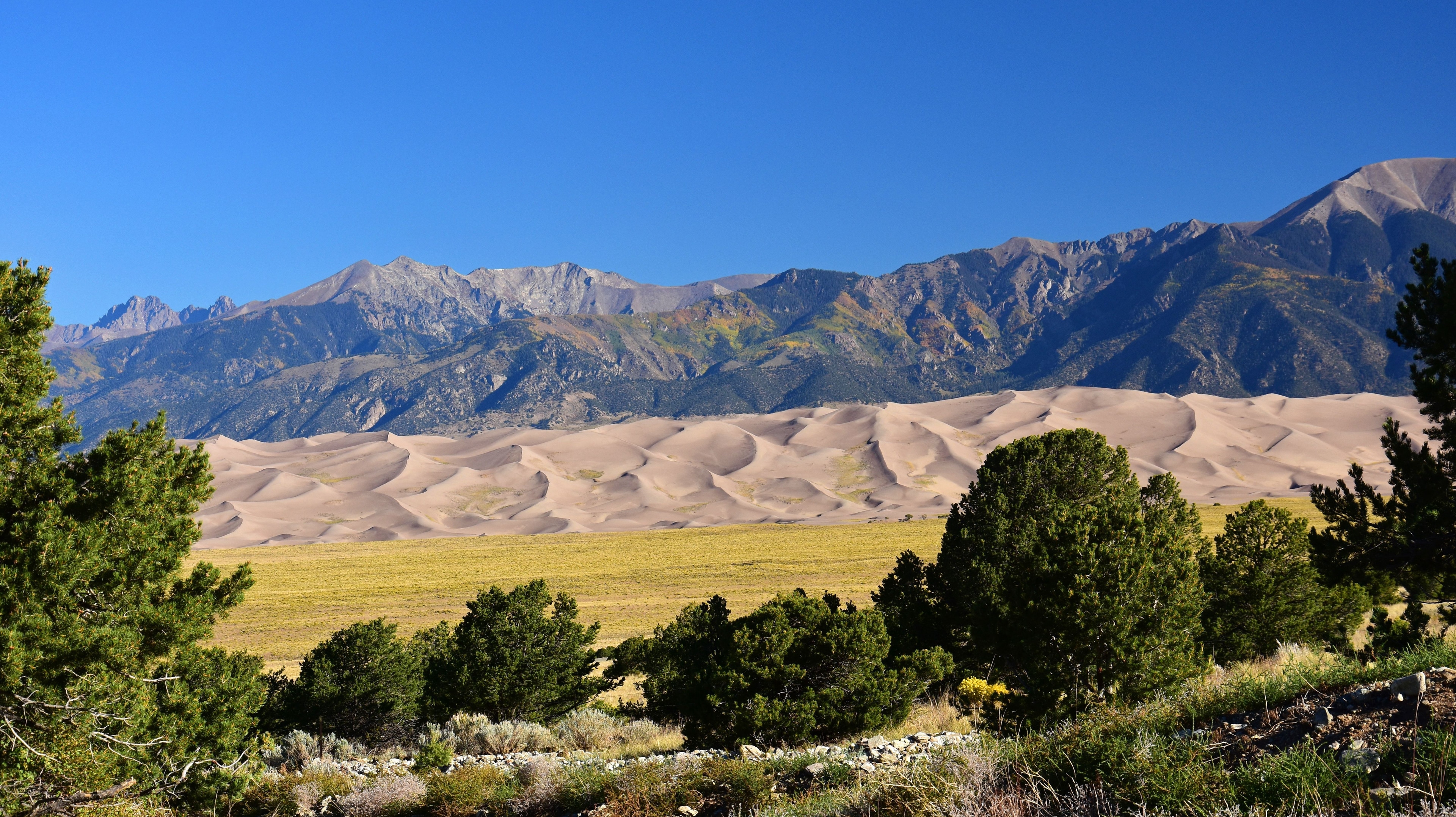 Gallery image for Alamosa (CTY-9)