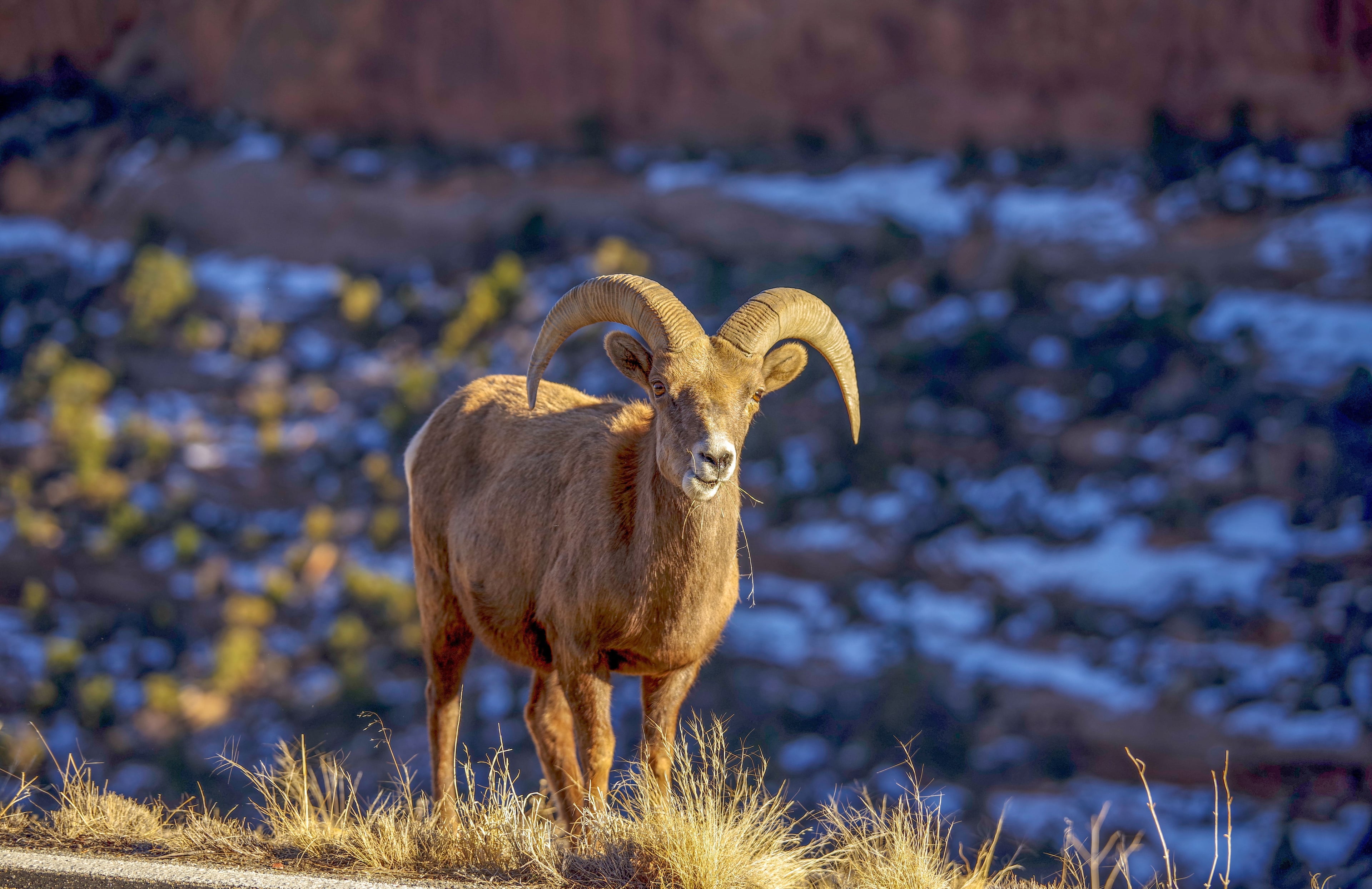 Image for Colorado National Monument (PL-8)