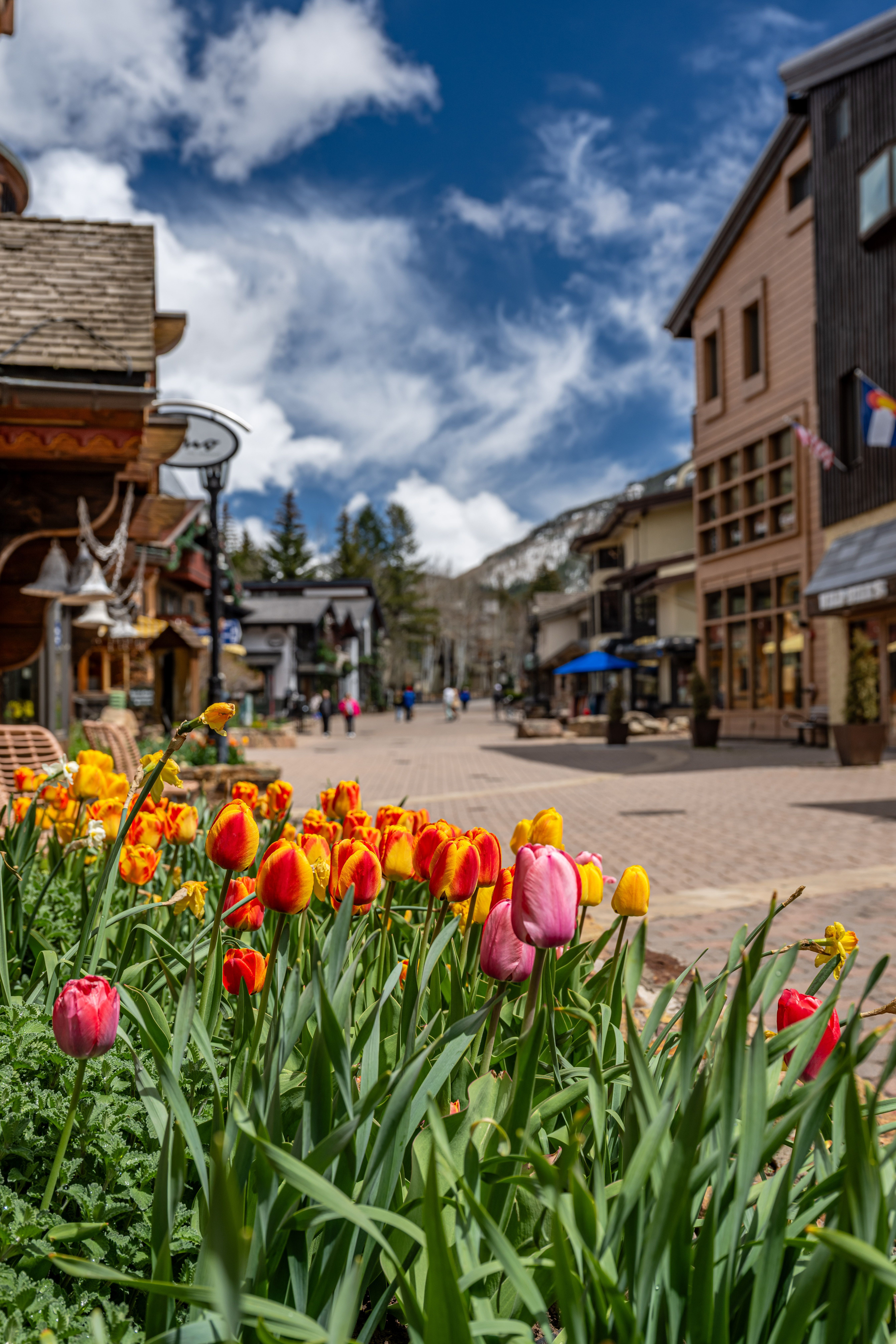 Gallery image for Vail (CTY-23)