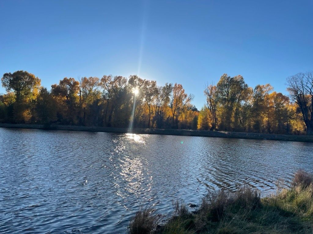 Gallery image for Pagosa Springs (CTY-25)