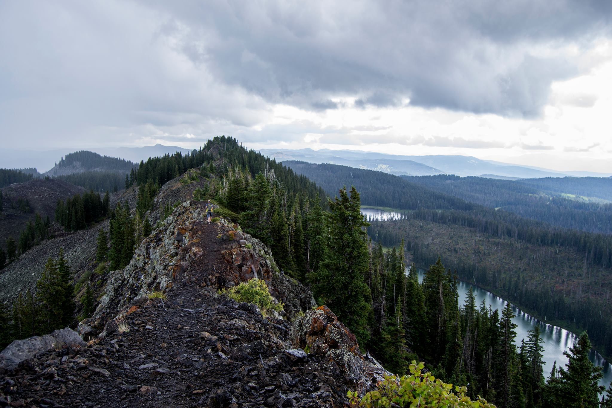 Image for Grand Mesa National Forest (PL-10)