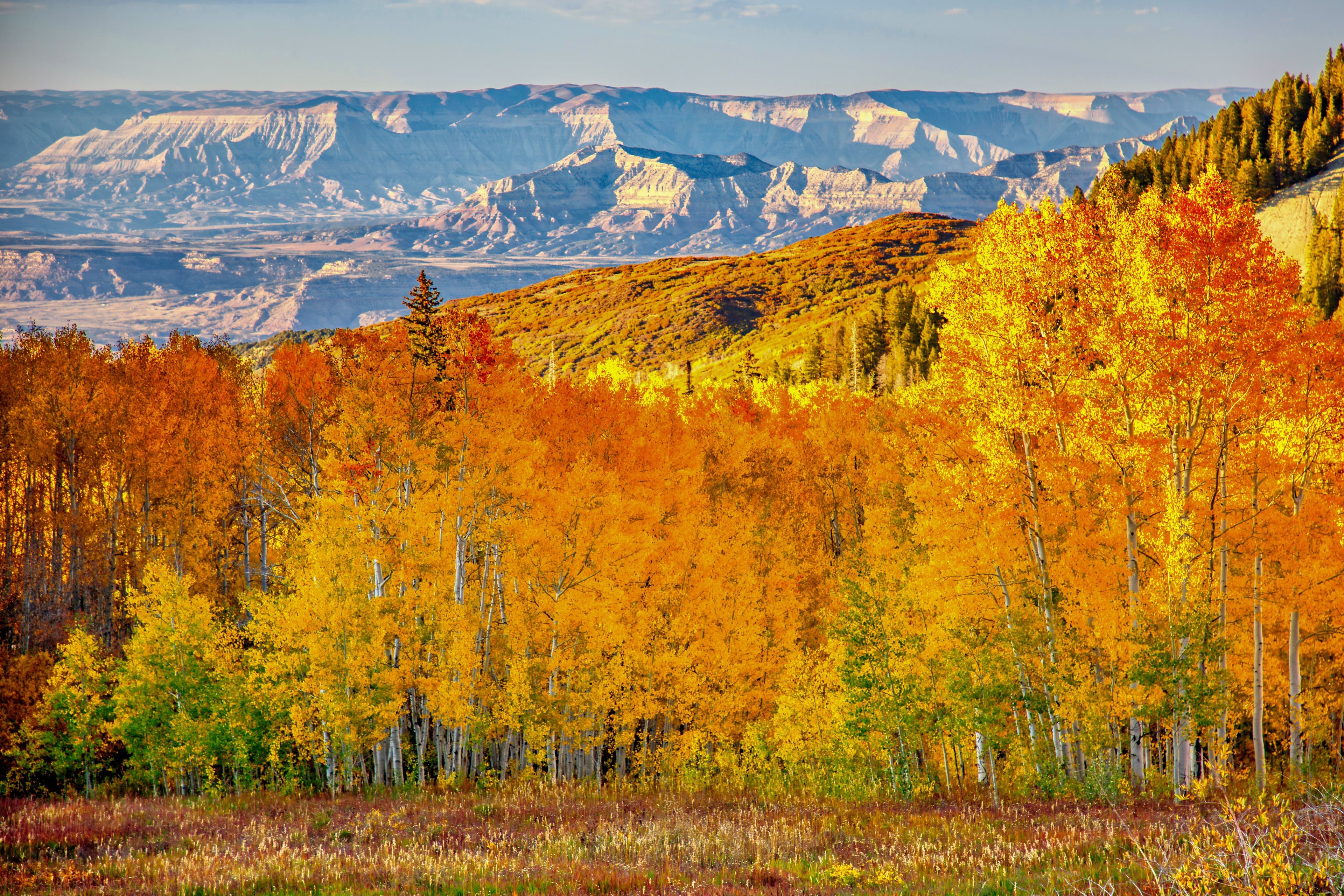Image for Grand Mesa National Forest (PL-10)