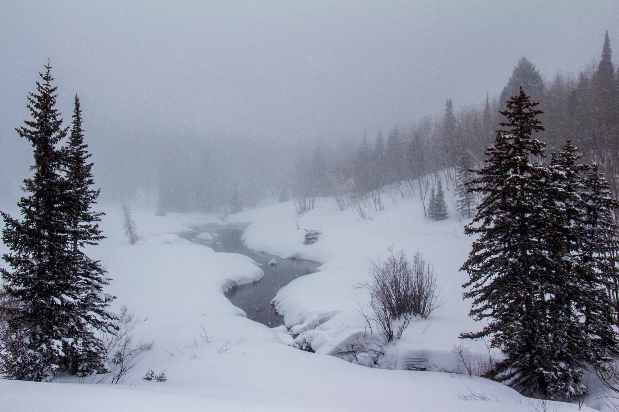 Image for Grand Mesa National Forest (PL-10)