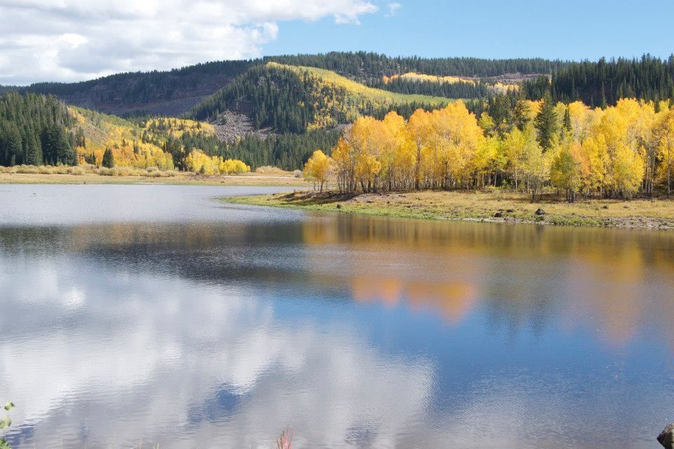 Image for Grand Mesa National Forest (PL-10)