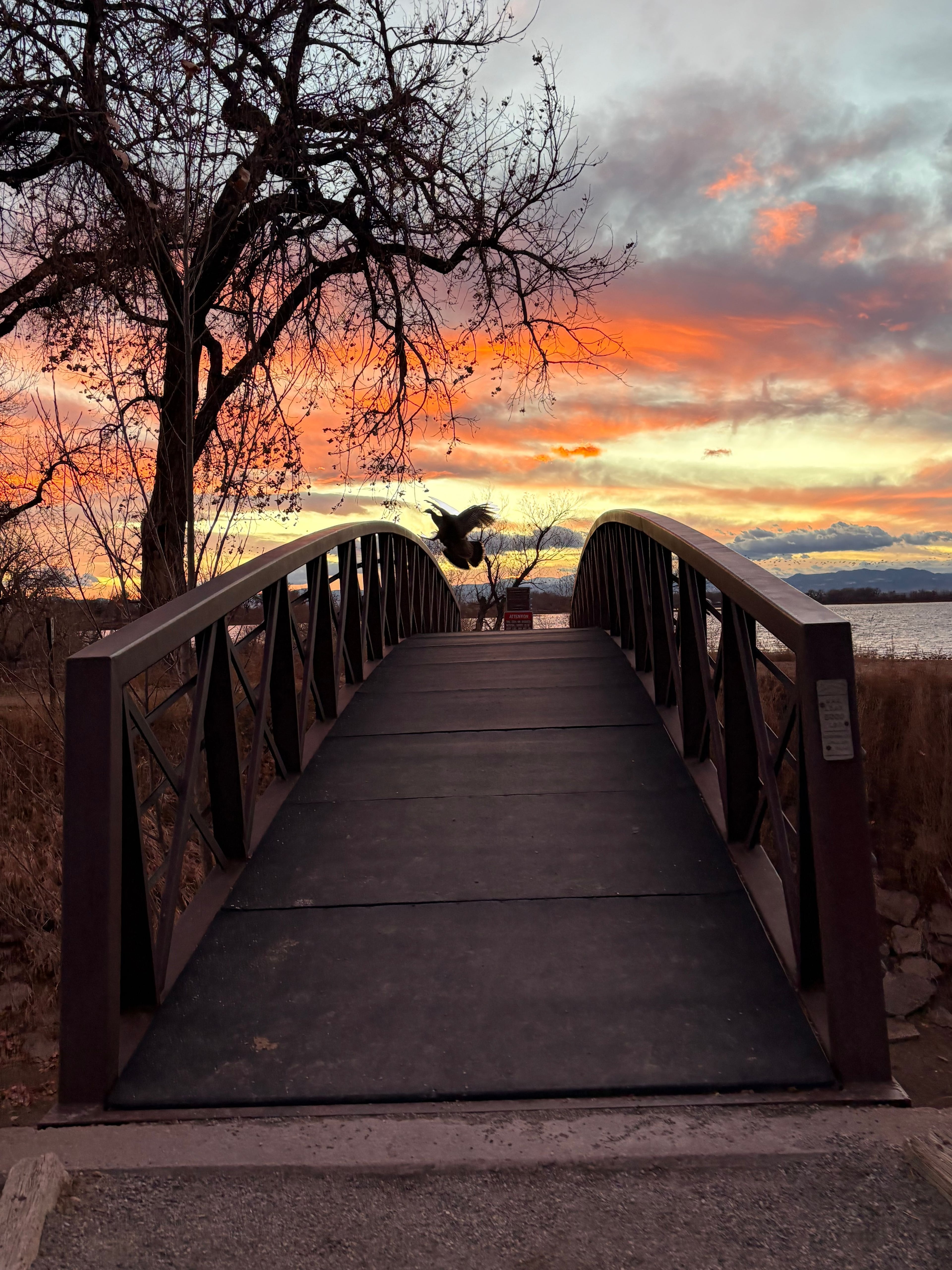 Image for Barr Lake State Park (PL-11)