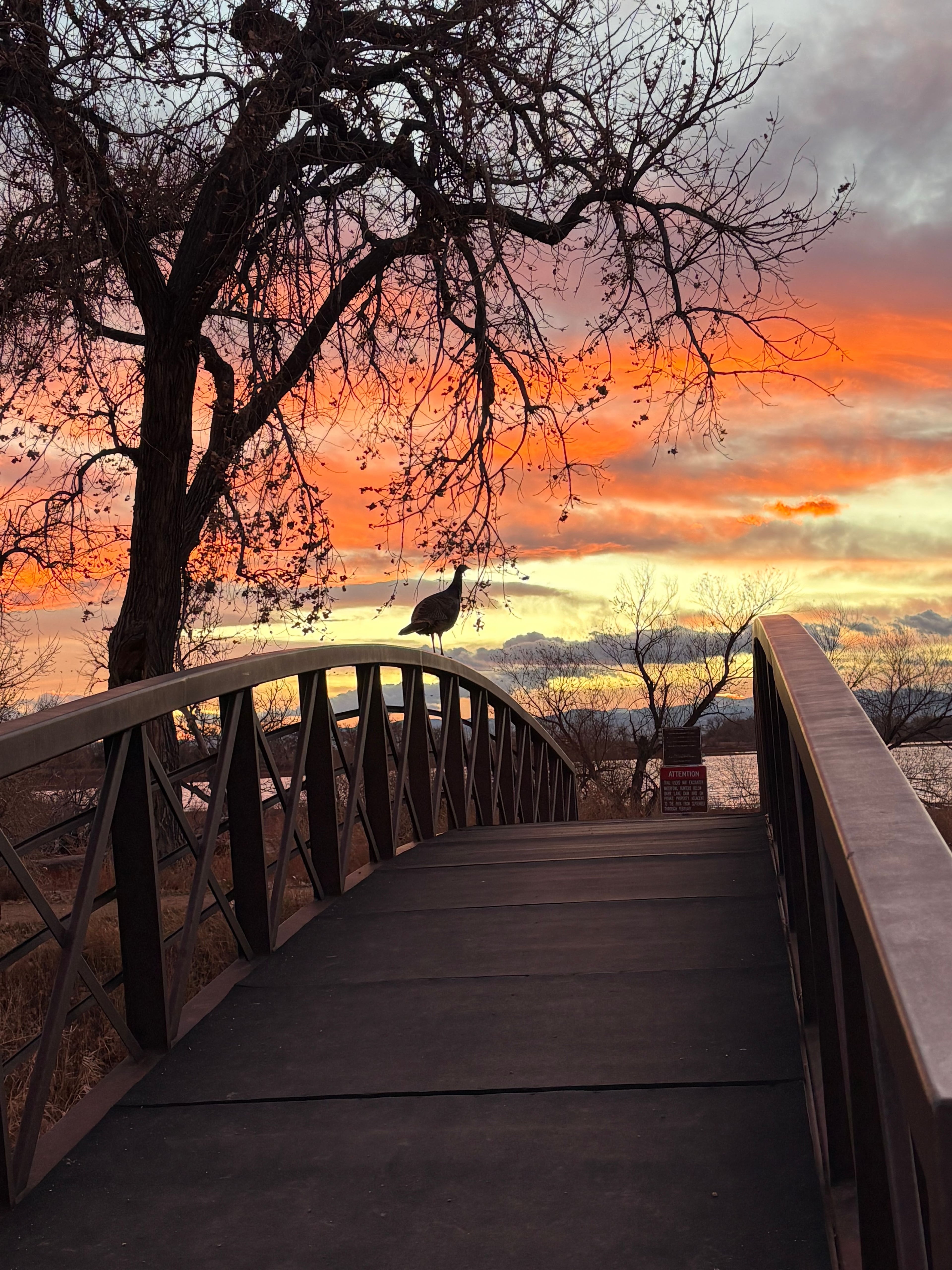 Image for Barr Lake State Park (PL-11)