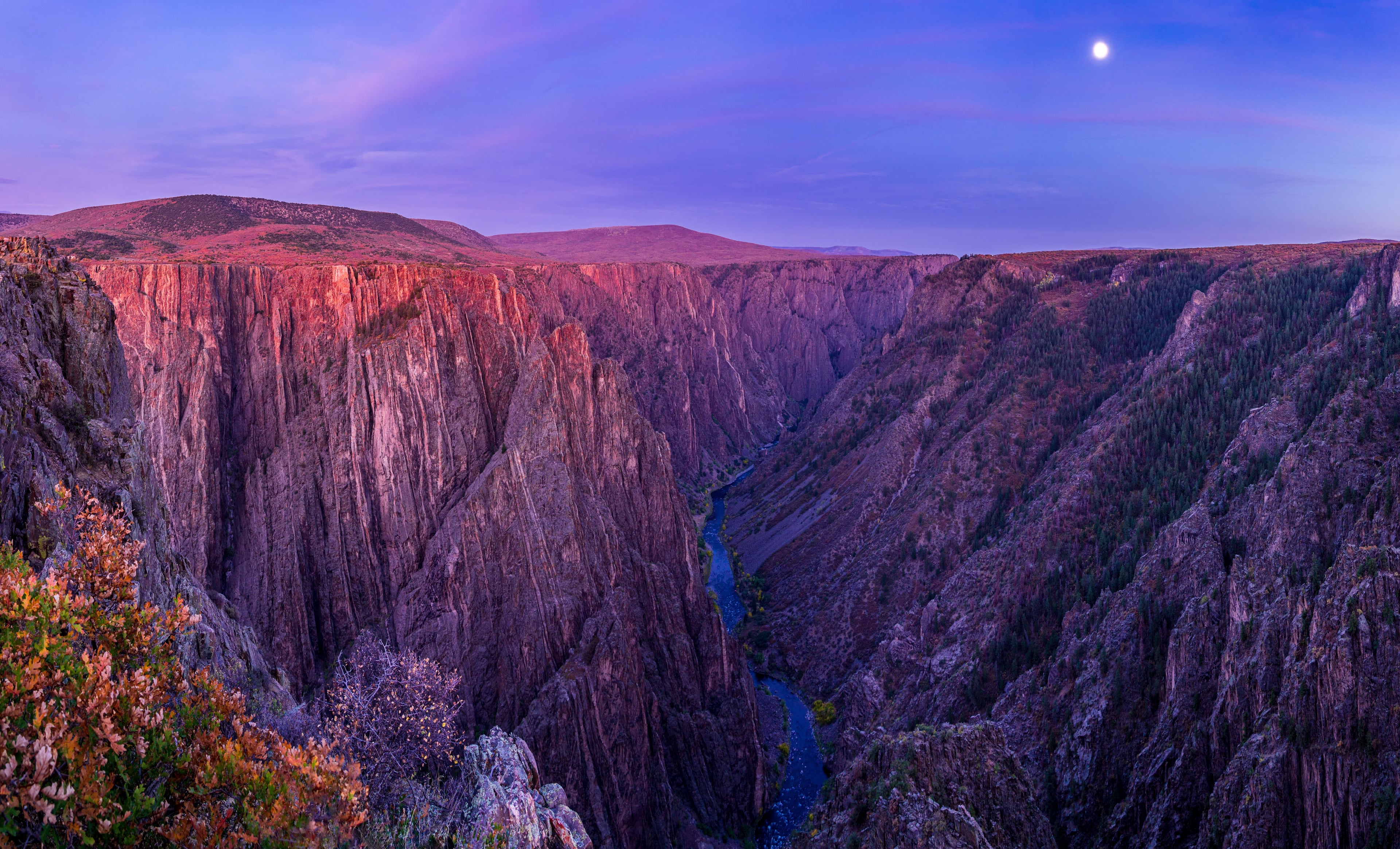 Image for Montrose (CTY-22)