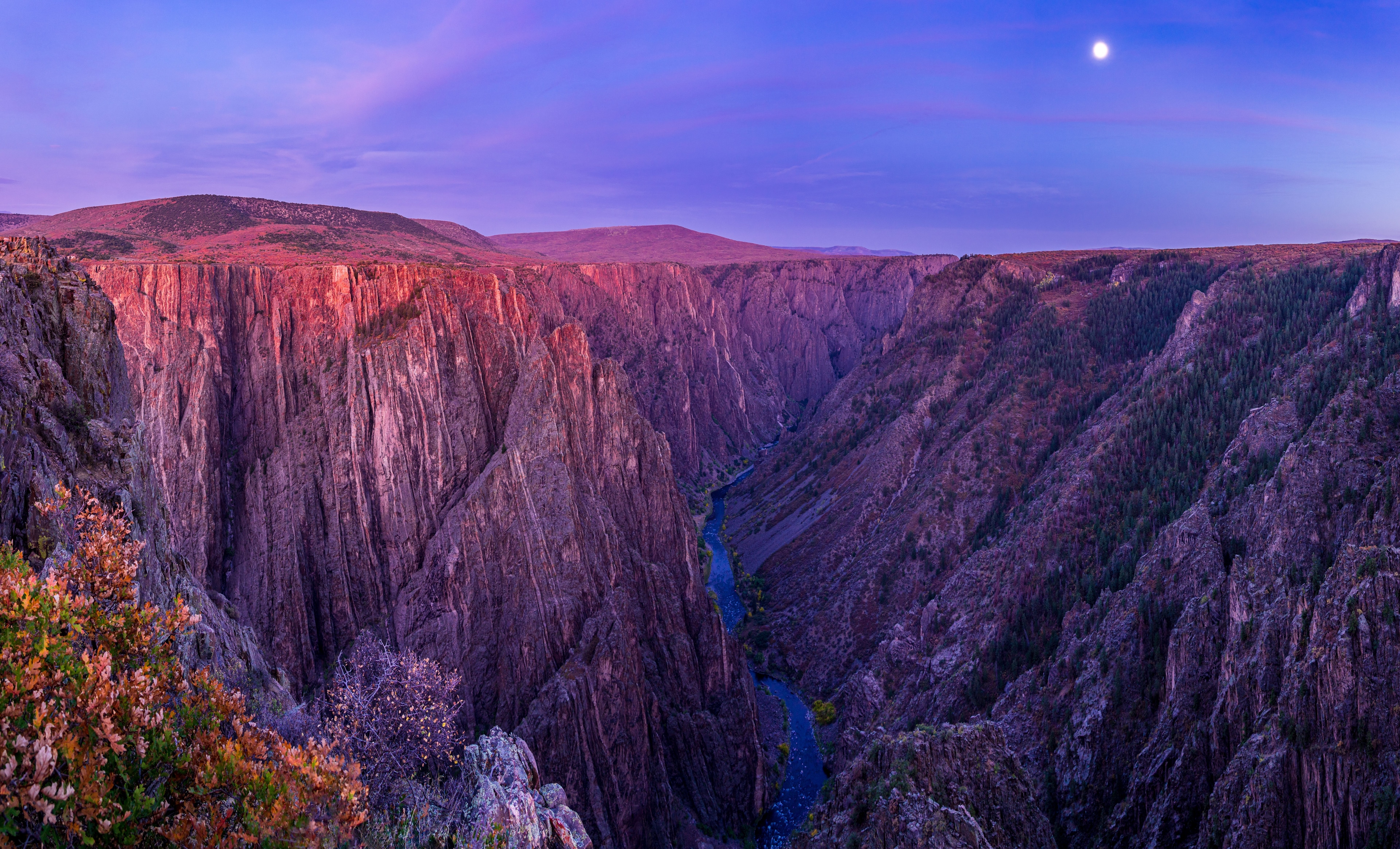 Image for Montrose (CTY-22)