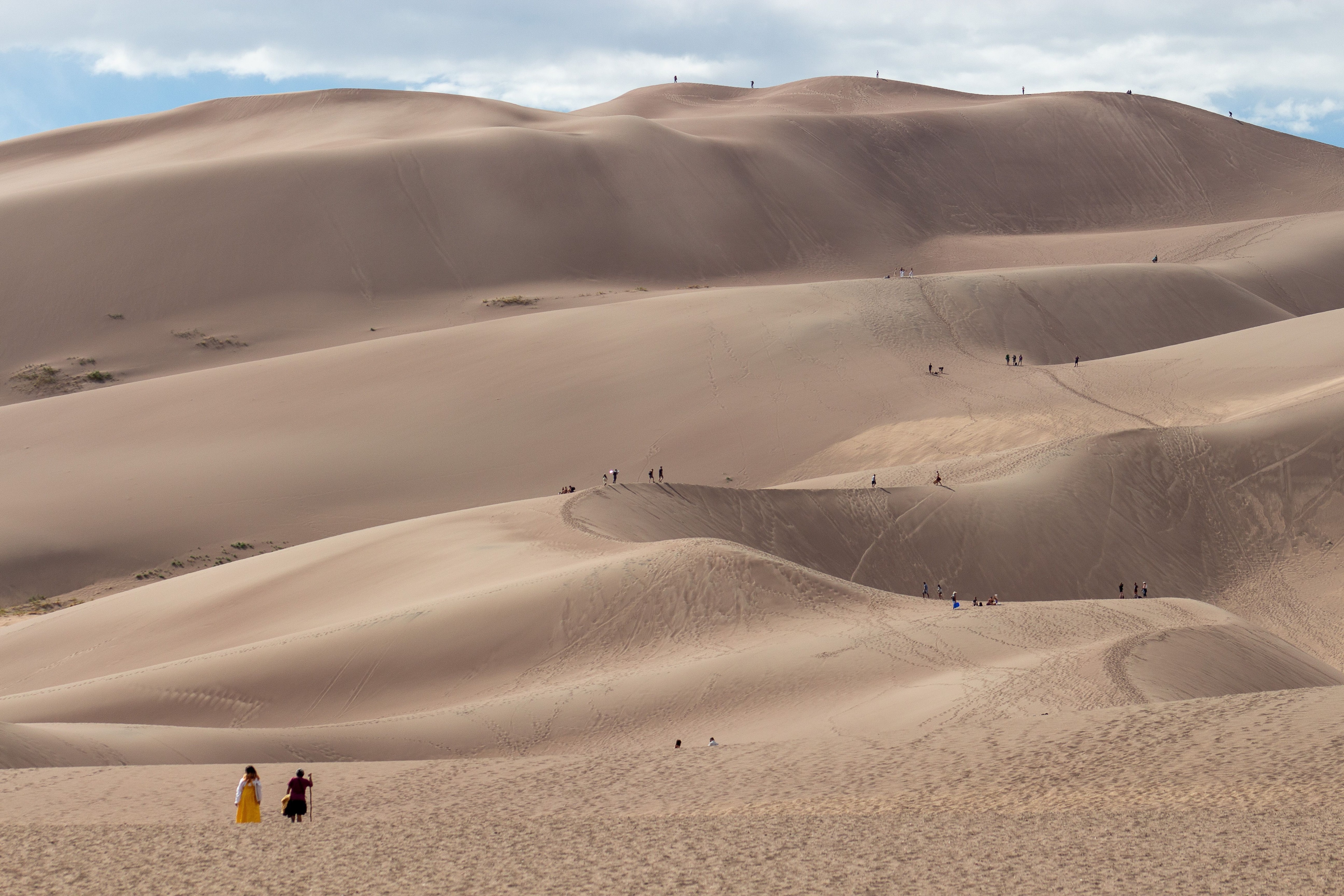 Header image for Great Sand Dunes National Park and Preserve (PL-3)