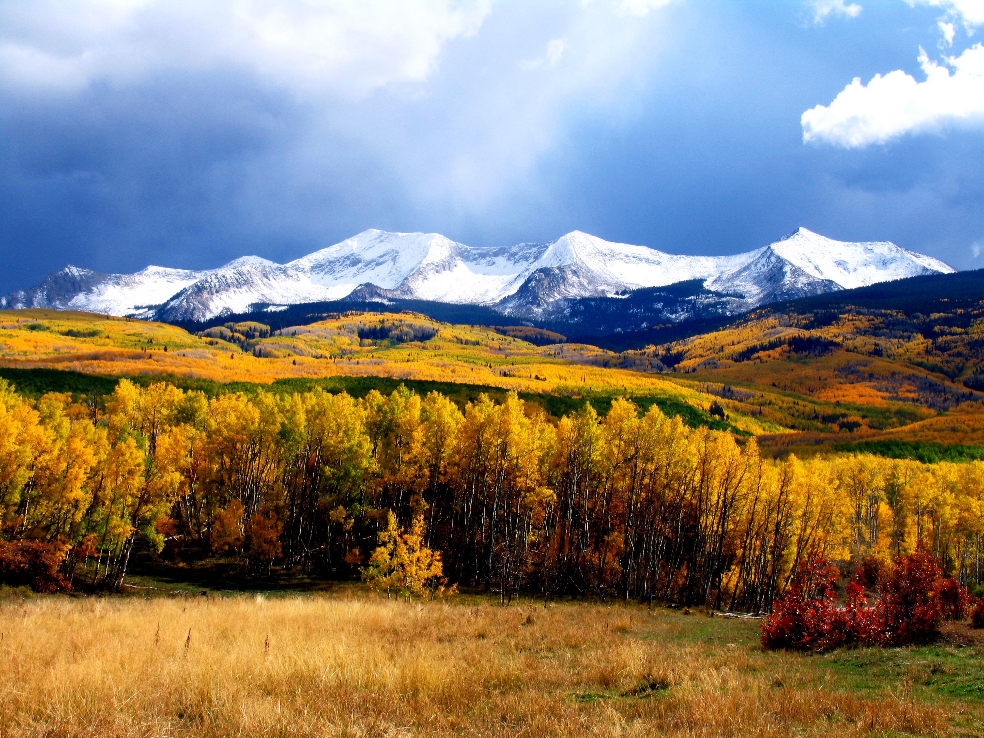 Gallery image for Crested Butte (CTY-12)