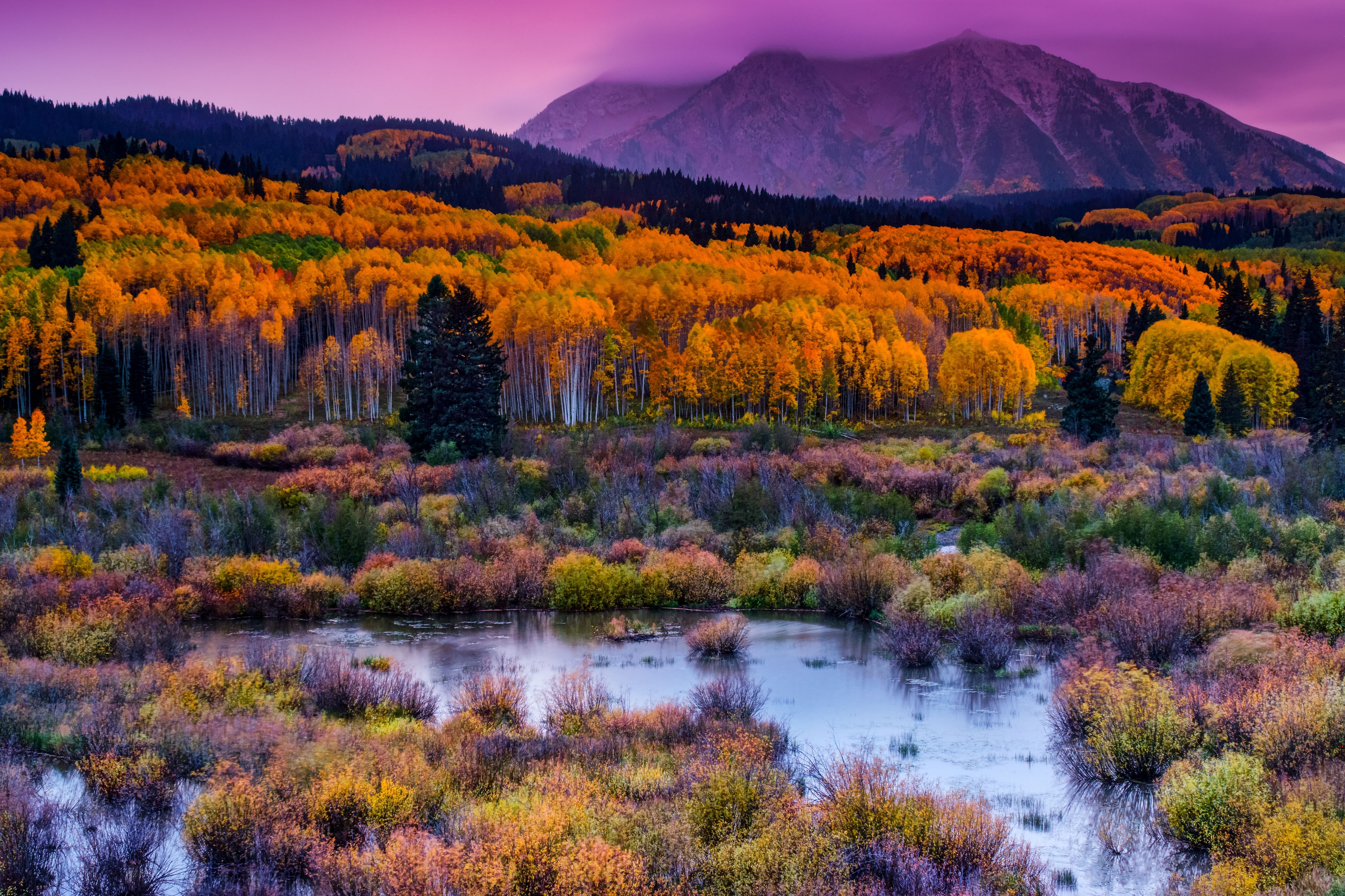 Gallery image for Crested Butte (CTY-12)