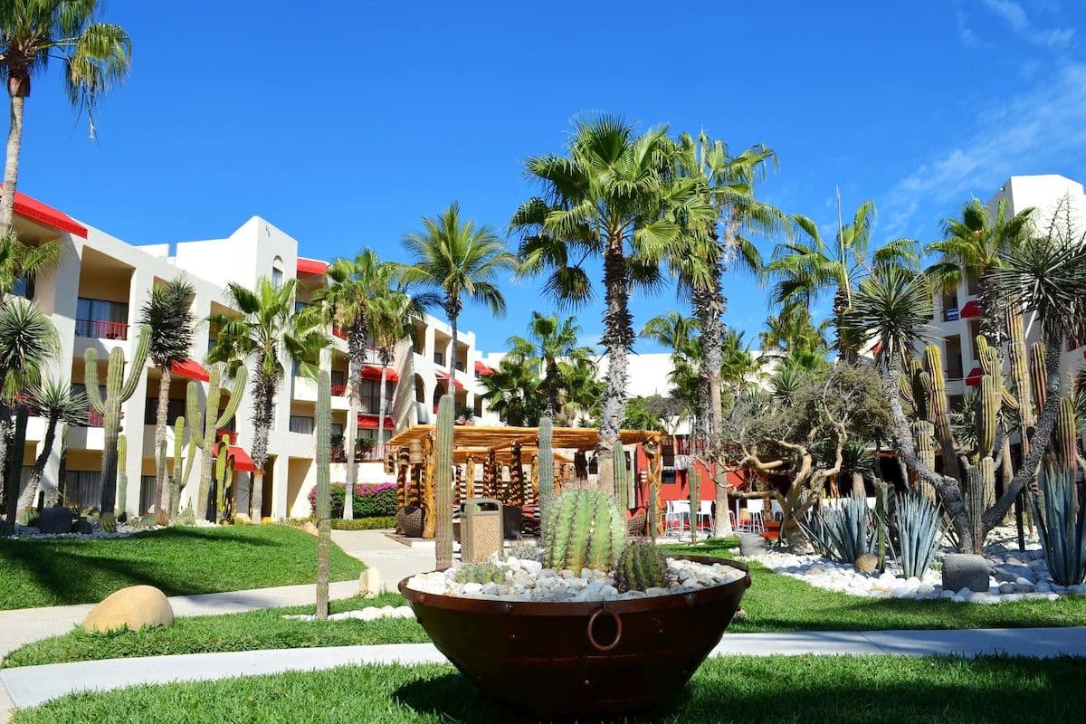 Grand Decameron Los Cabos, A Trademark All Inclusive Resort - Image 1