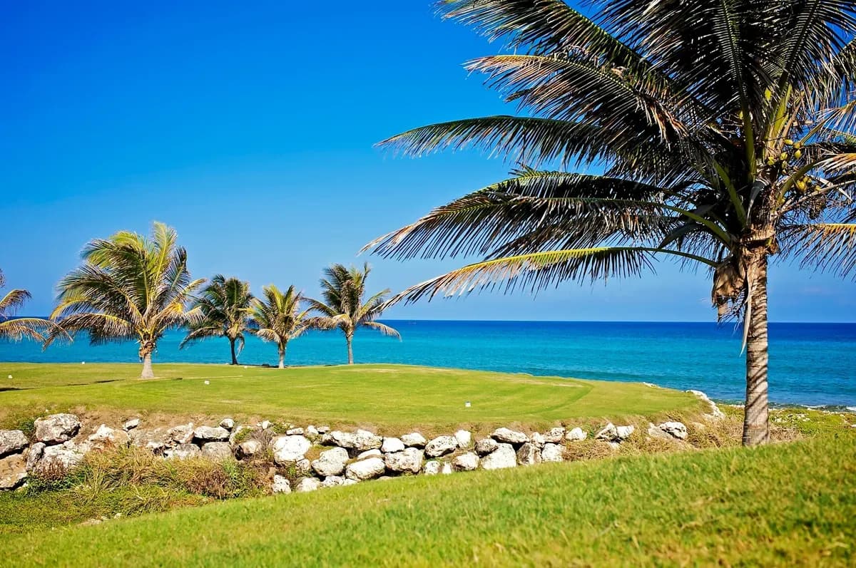 JOIA Rose Hall by Iberostar - Image 7